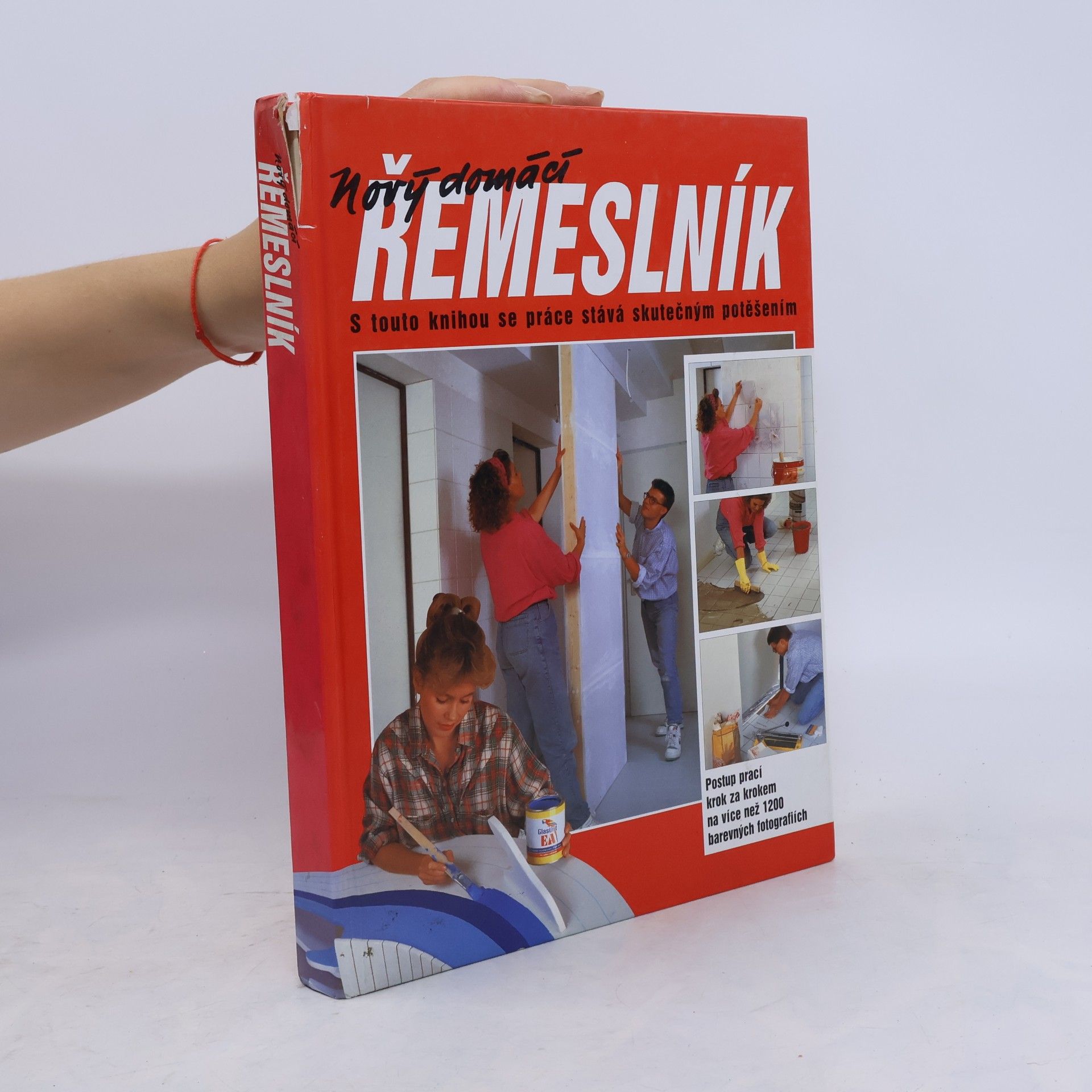 Dieter Rex Nový domácí řemeslník