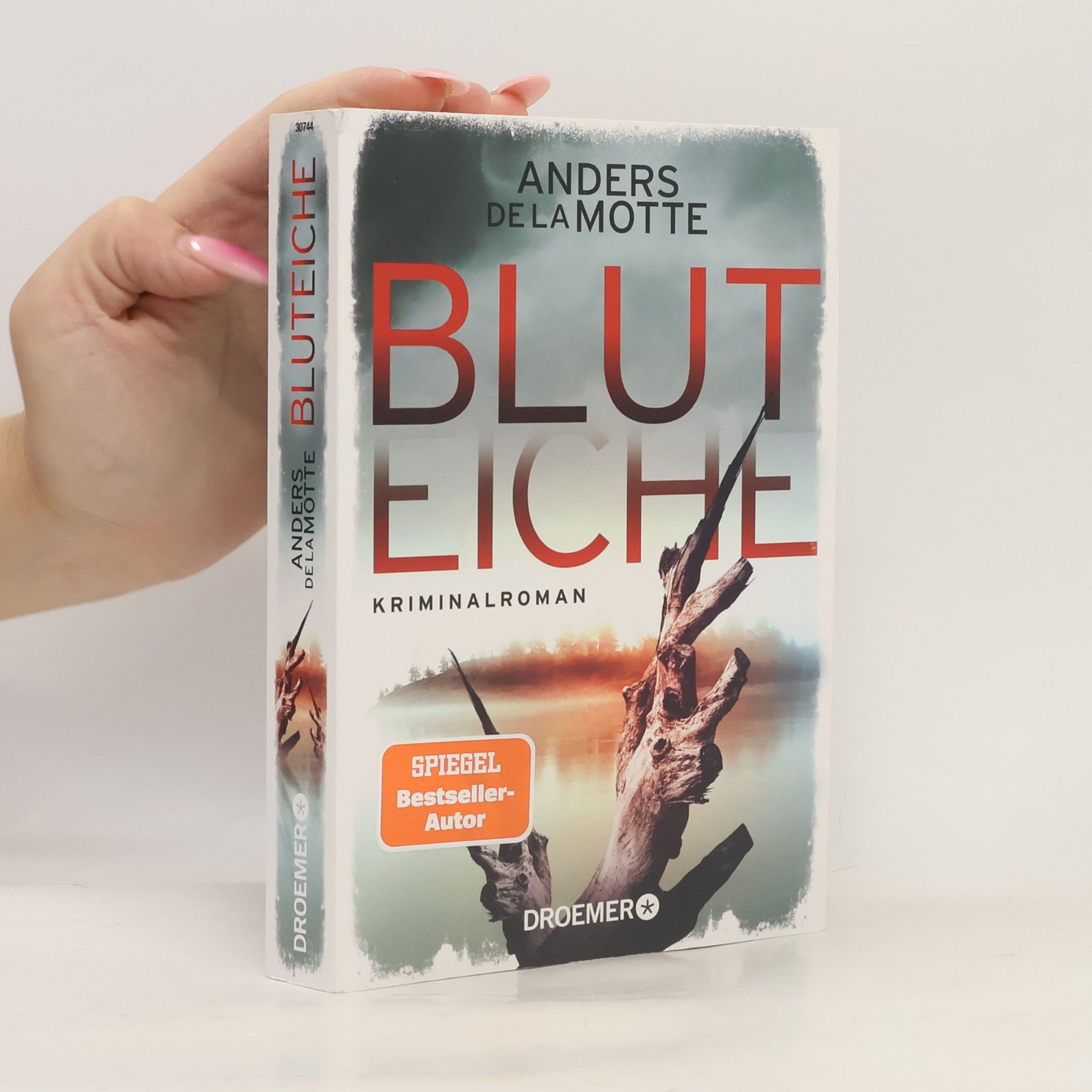 Anders De la Motte Bluteiche