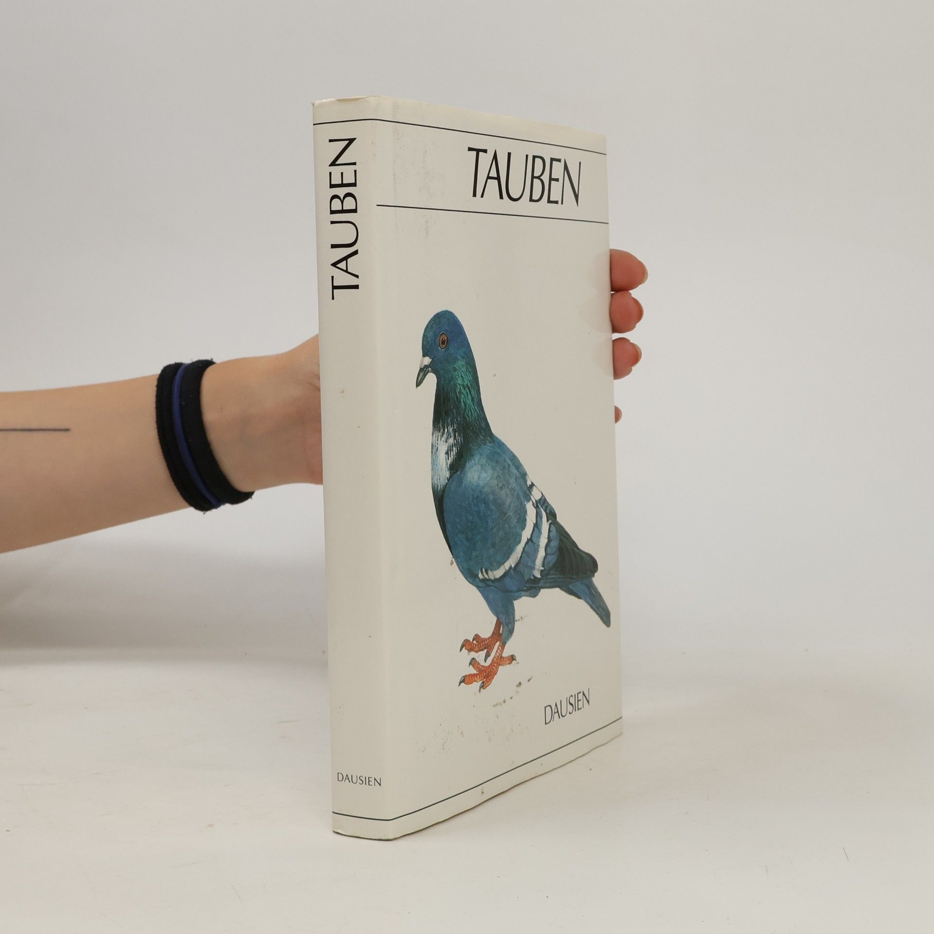 Tauben