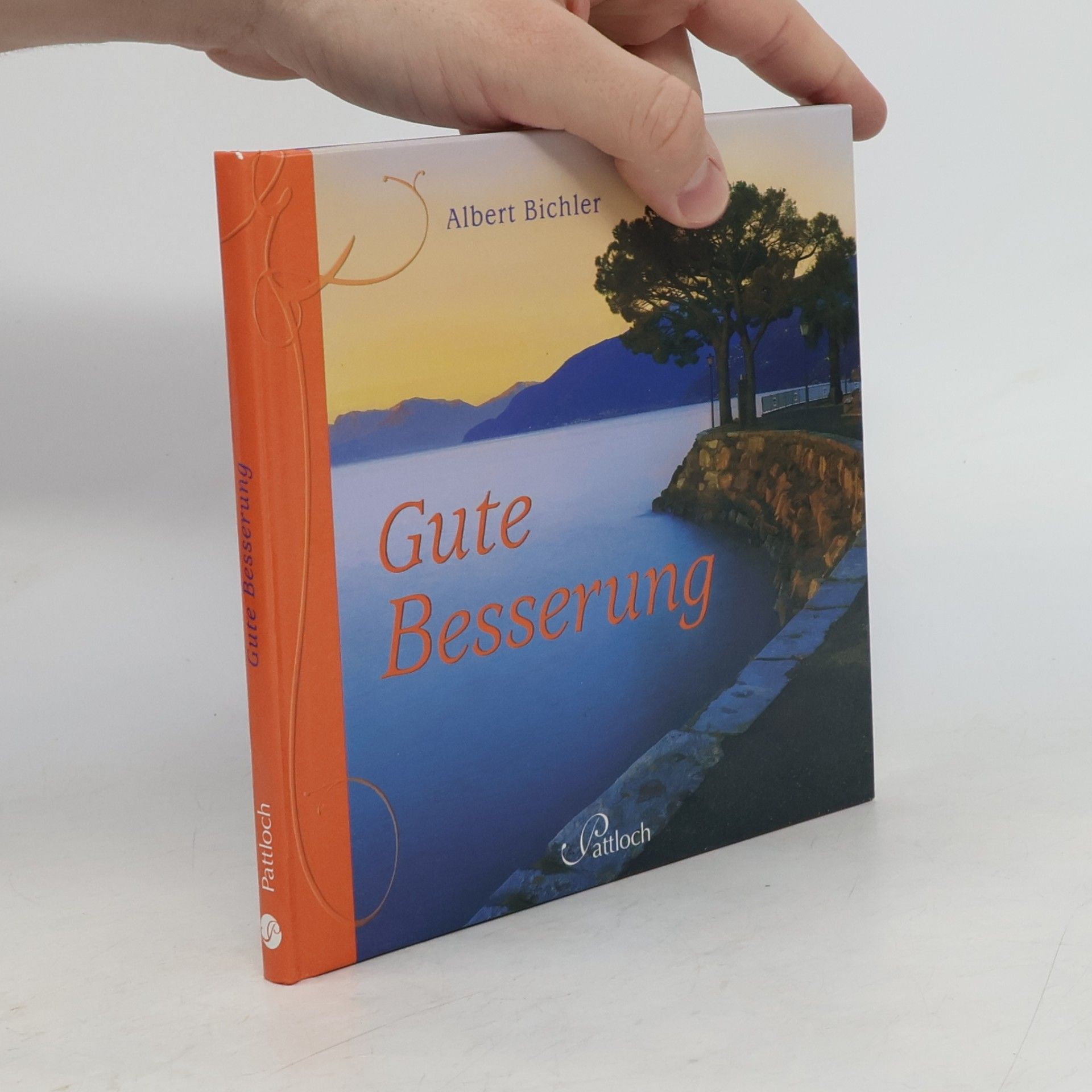 Albert Bichler Gute Besserung