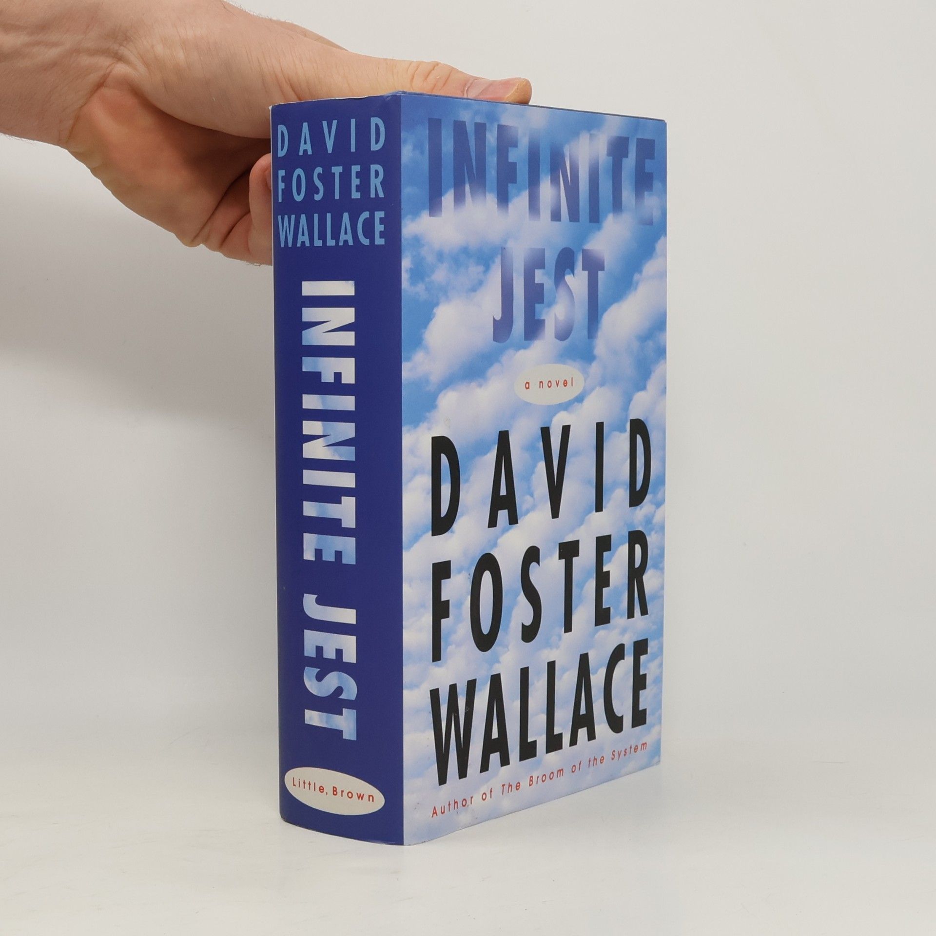 David Foster Wallace Infinite Jest