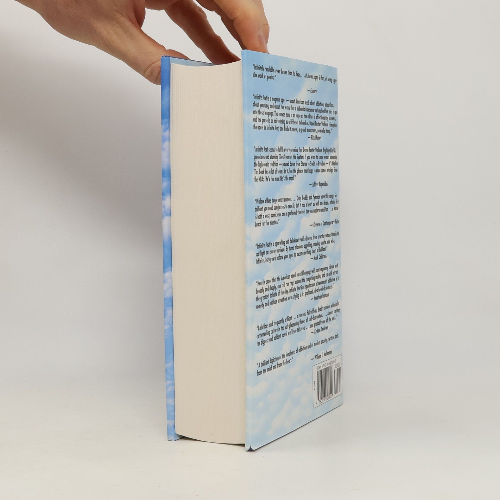 David Foster Wallace Infinite Jest