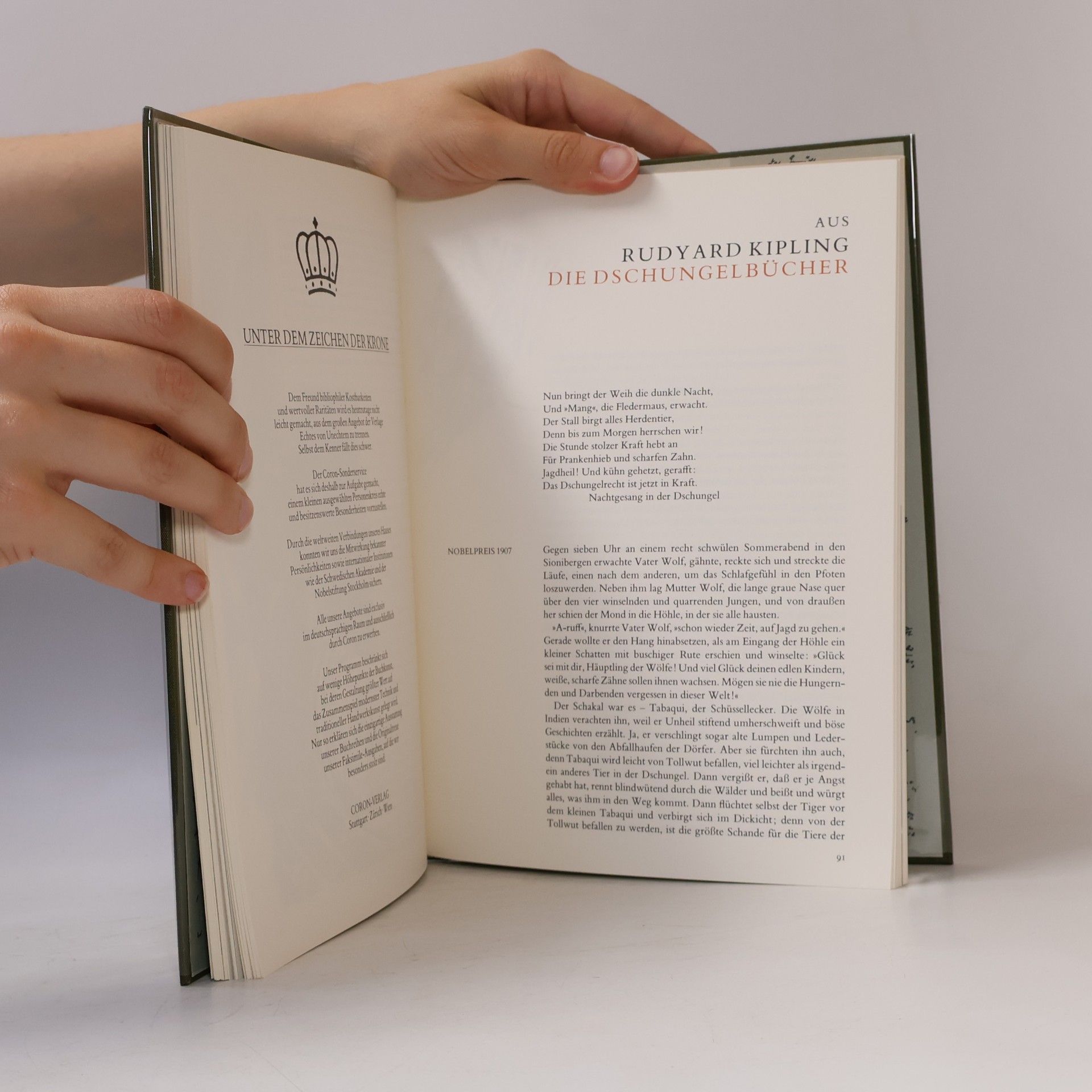 Autorenkollektiv Nobelpreis für Literatur: Begleitband