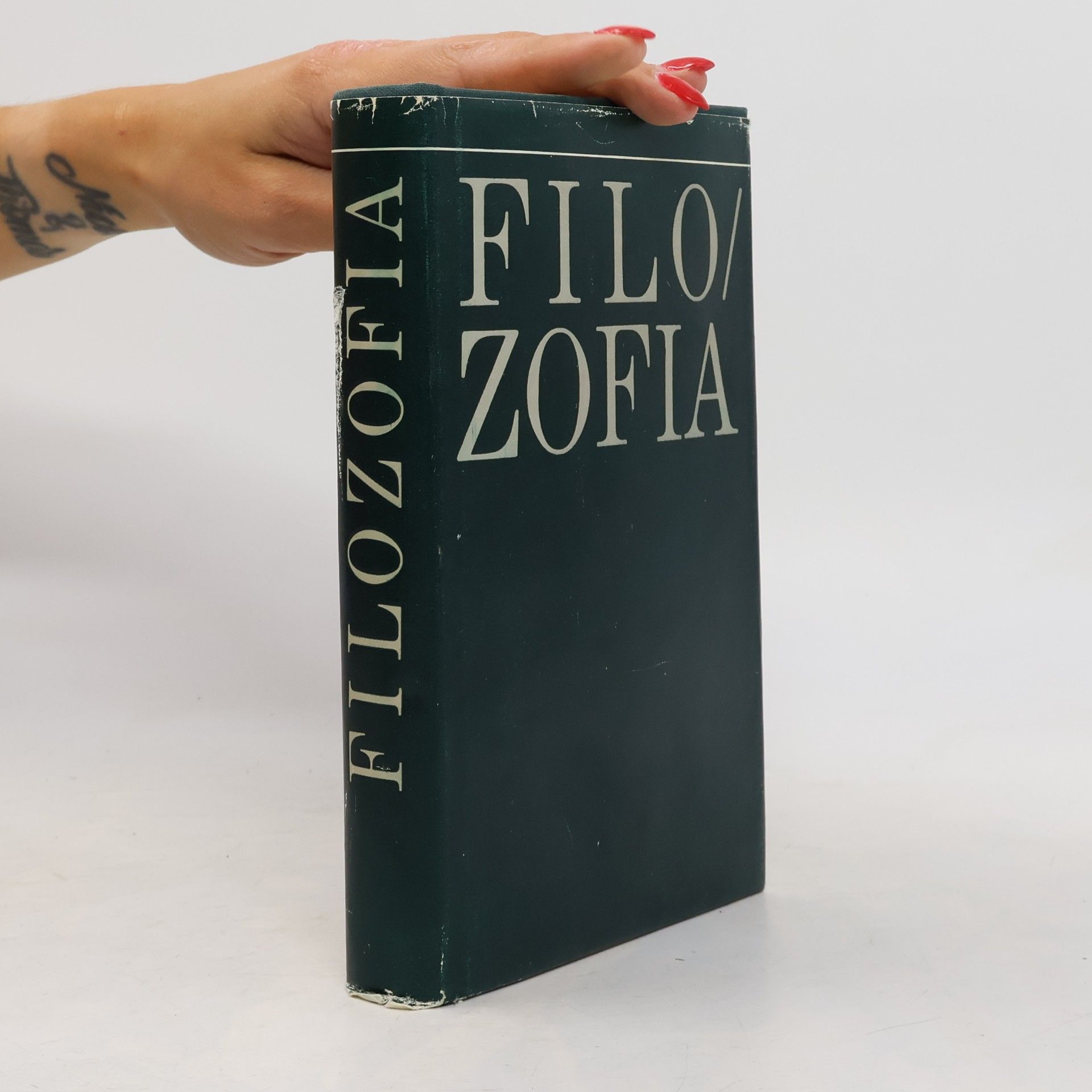 Kolektív autorov Filozofia. Základné idey a princípy, populárny náčrt
