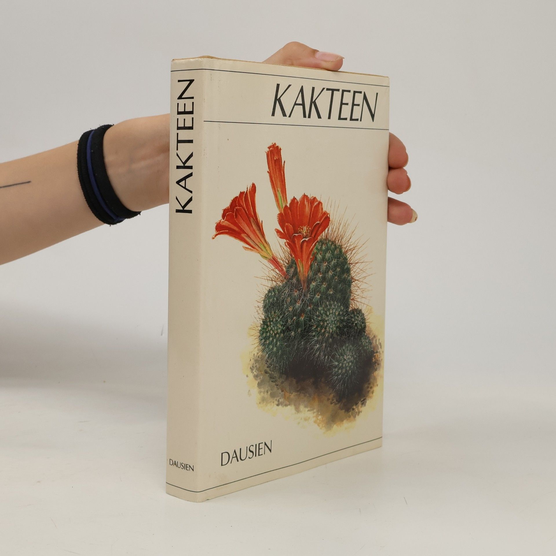 Kakteen