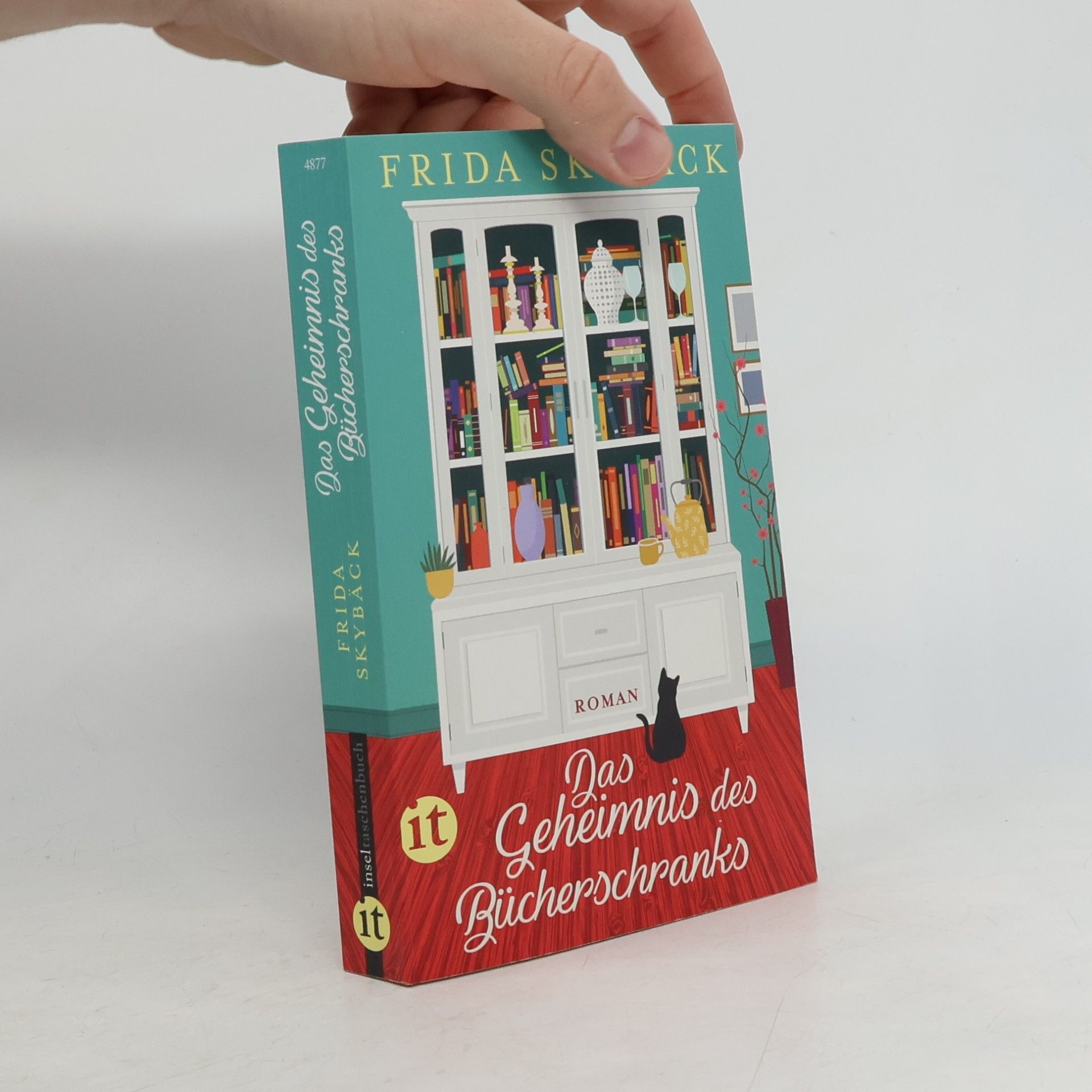 Frida Skybäck Das Geheimnis des Bücherschranks
