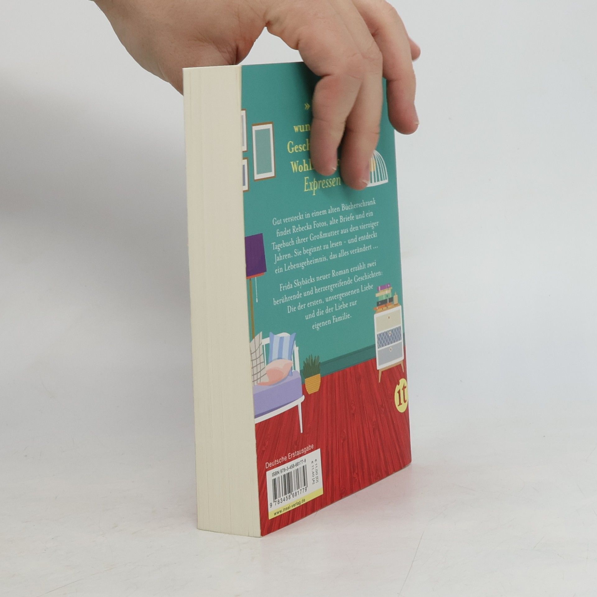 Frida Skybäck Das Geheimnis des Bücherschranks