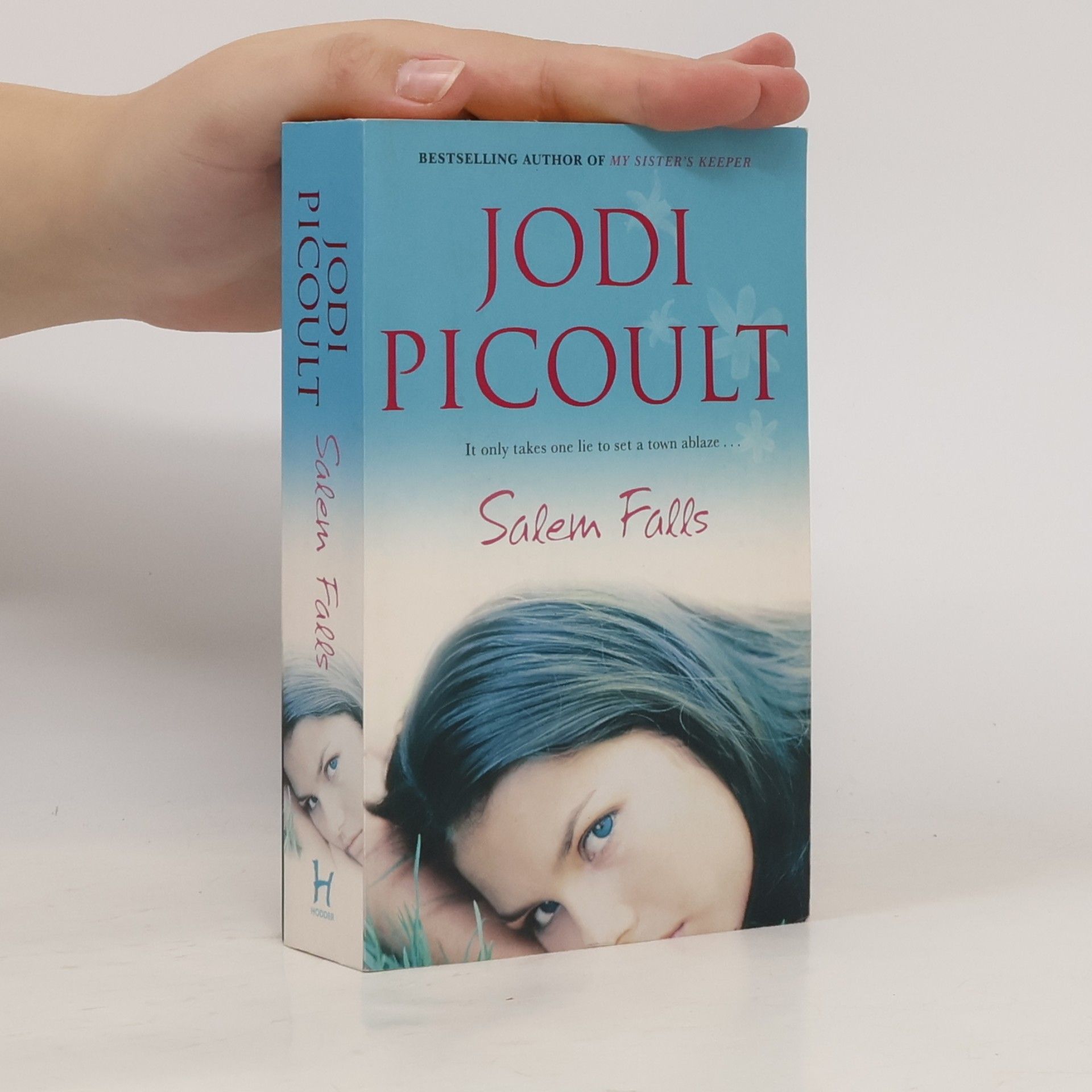 Jodi Picoult Salem Falls