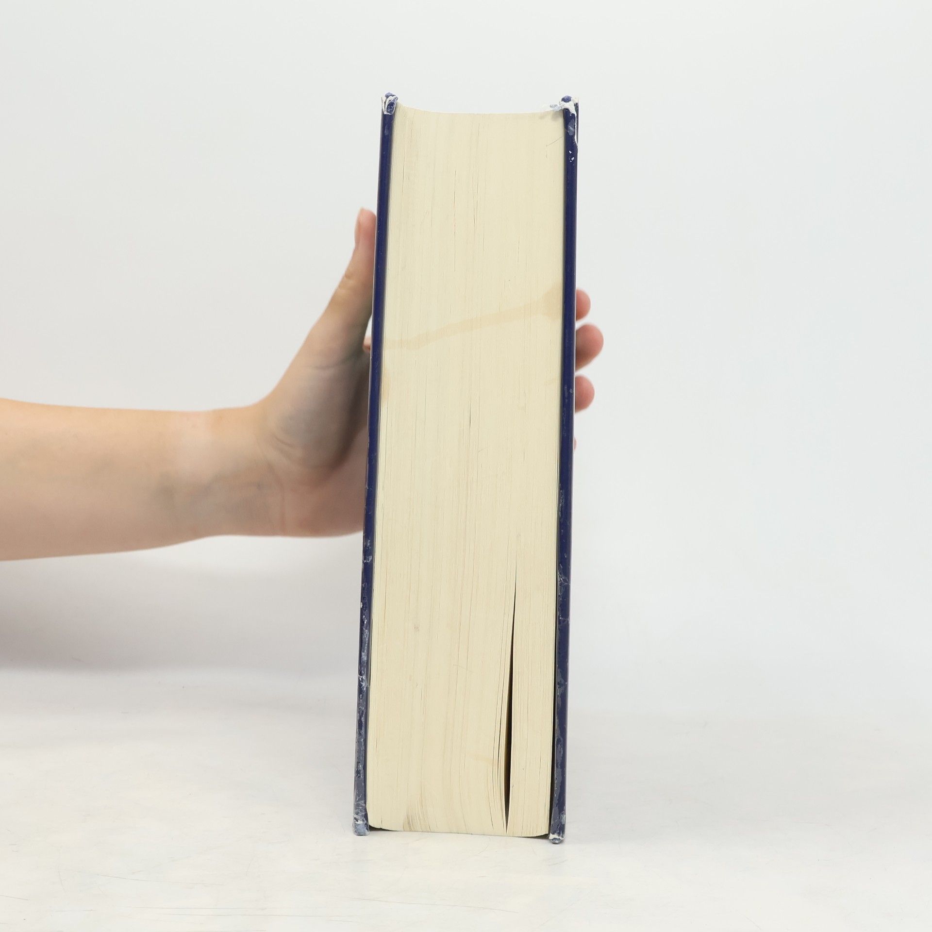 Reinhard Richardi Münchener Handbuch zum Arbeitsrecht - 3. Auflage