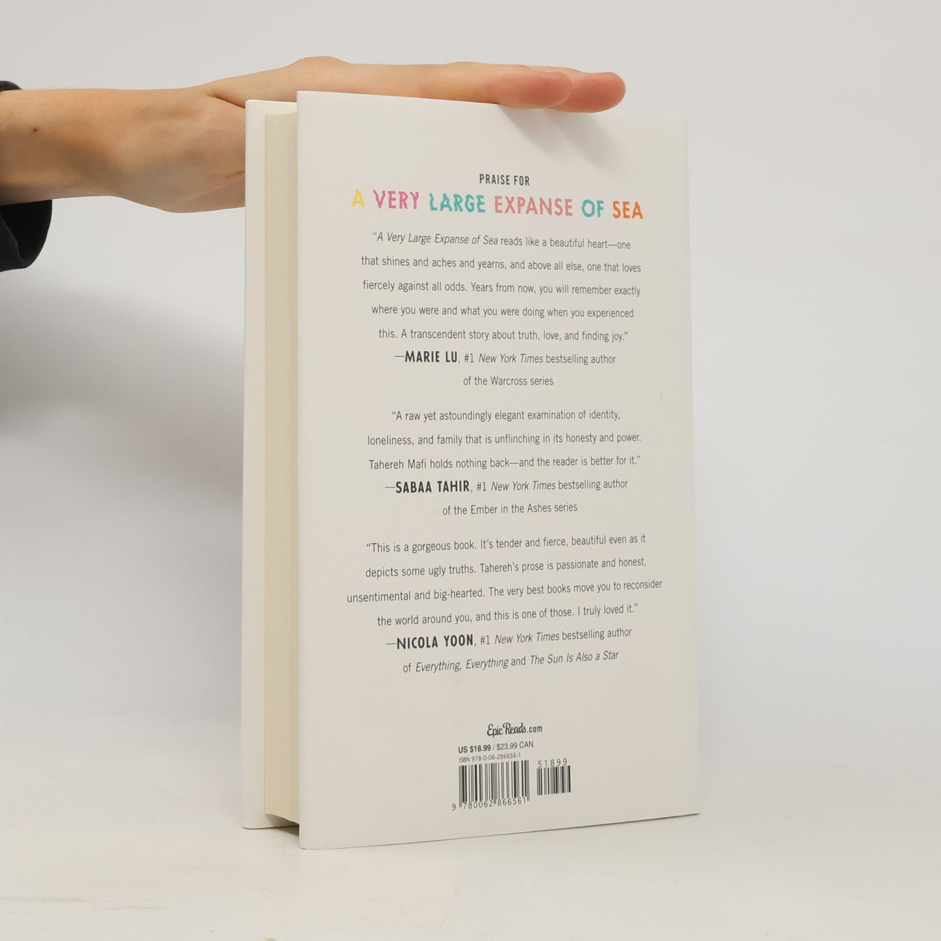 Tahereh Mafi A Very Large Expanse of Sea