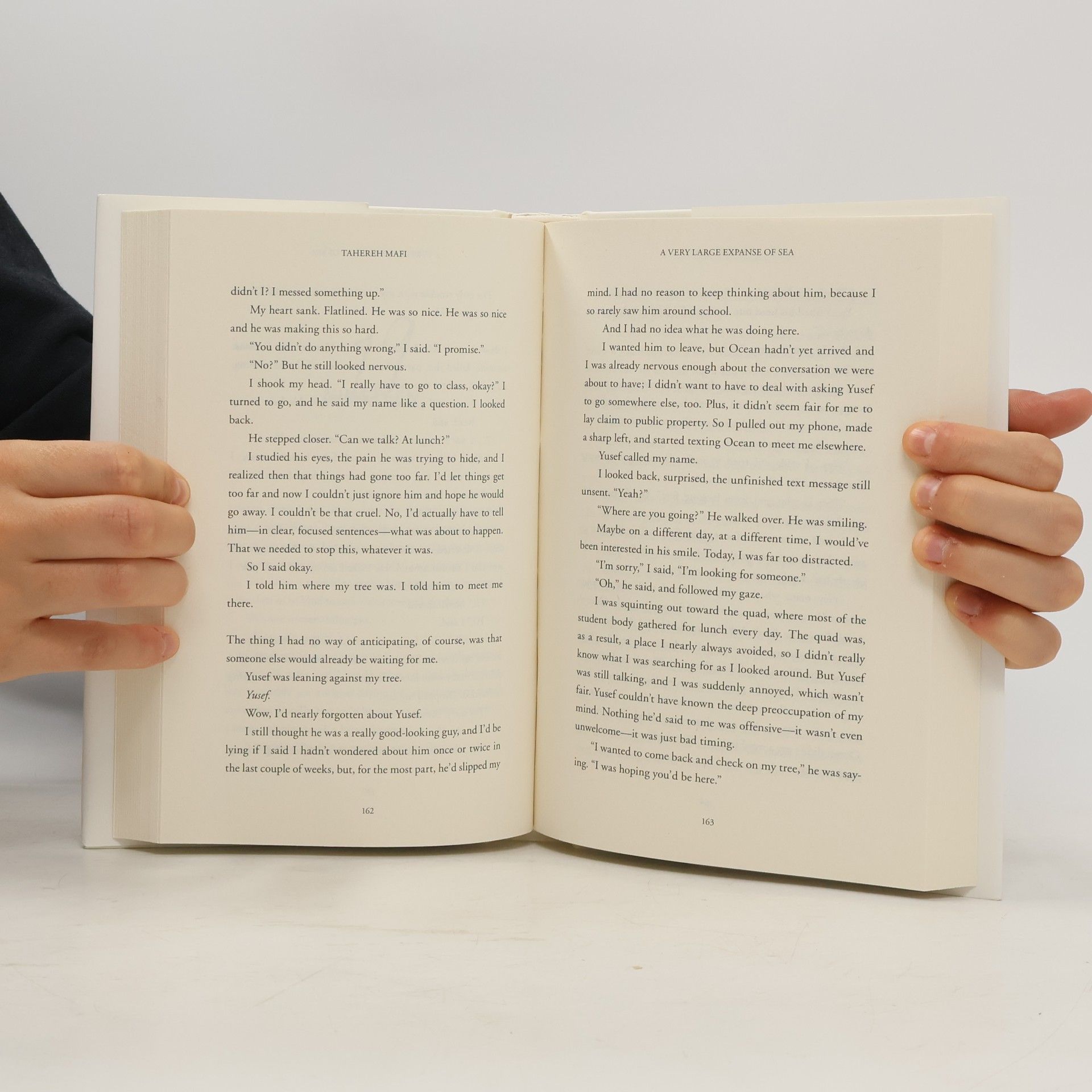 Tahereh Mafi A Very Large Expanse of Sea