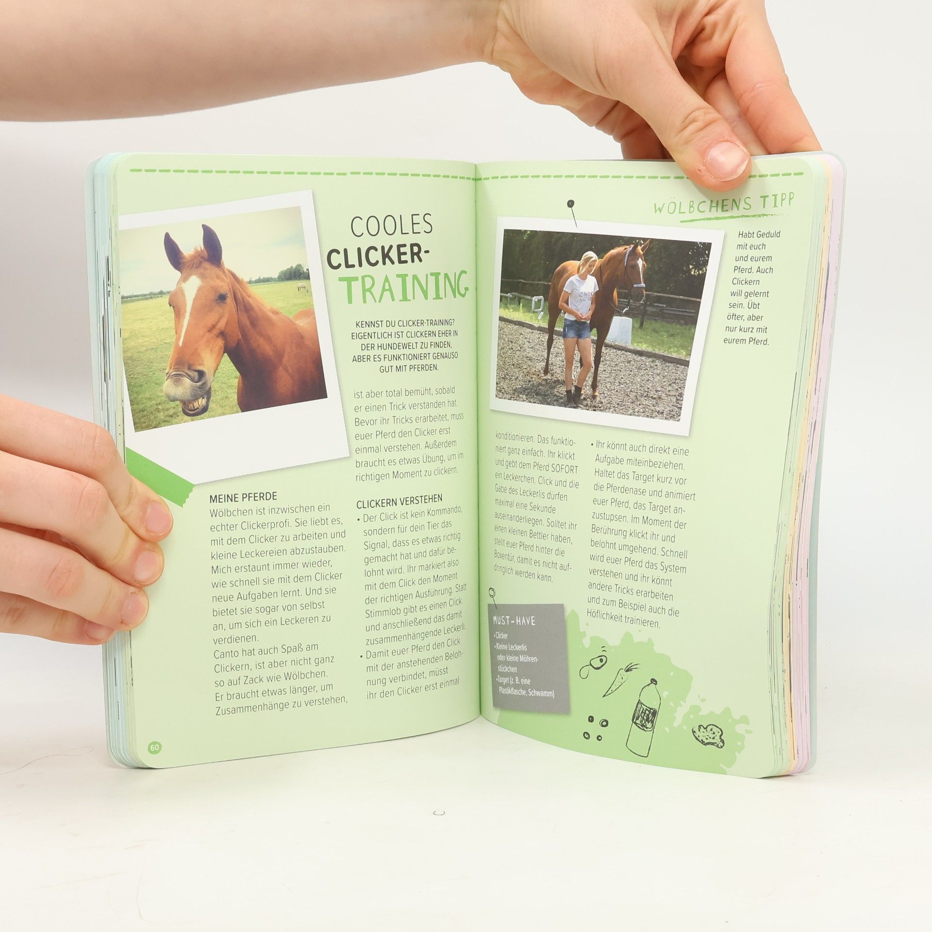 Annica Hansen Ponyliebe