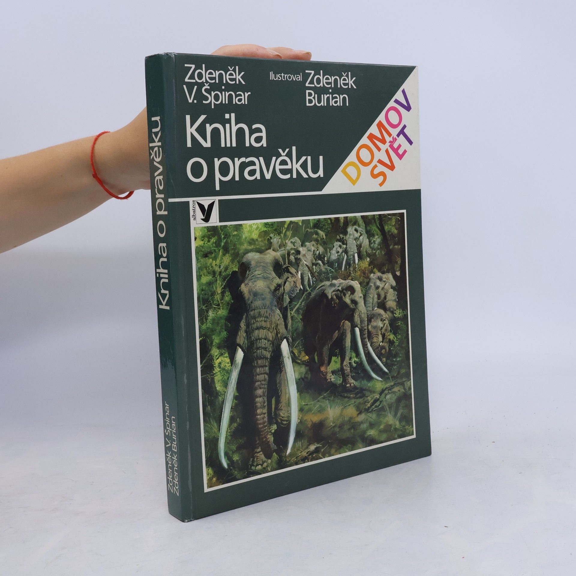 Kniha o pravěku