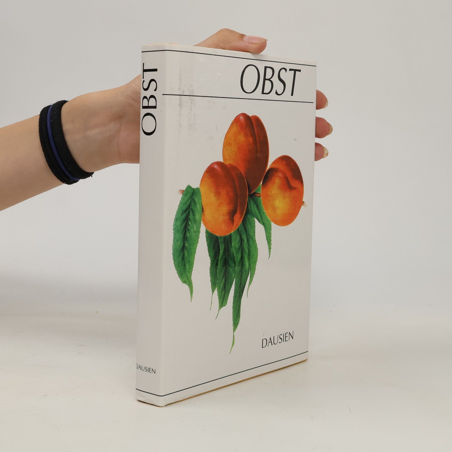 Valicek Obst