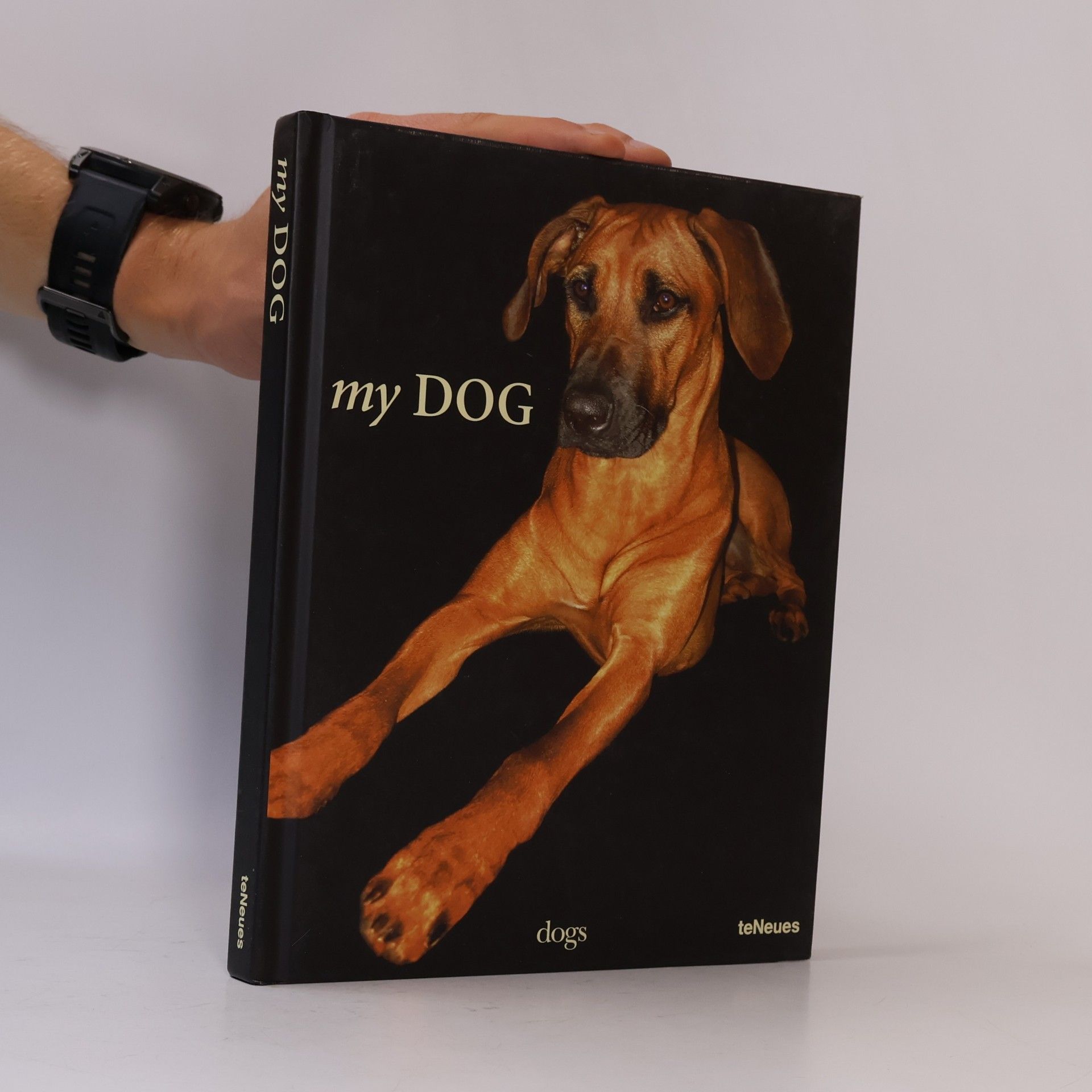 Thomas Niederste Werbeck My dog