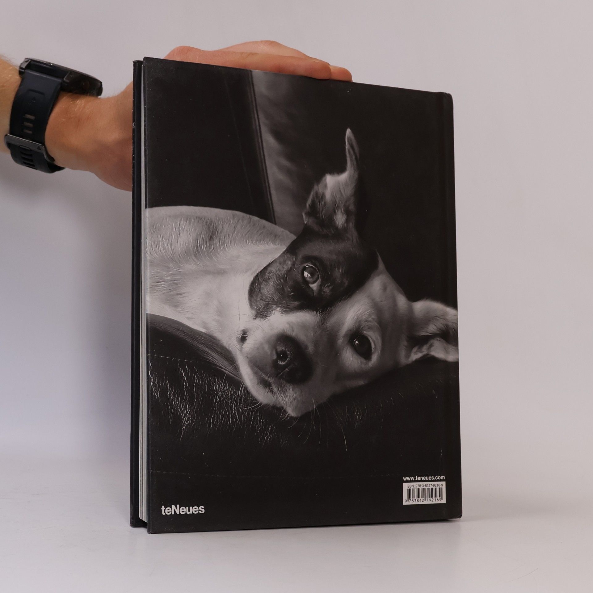 Thomas Niederste Werbeck My dog