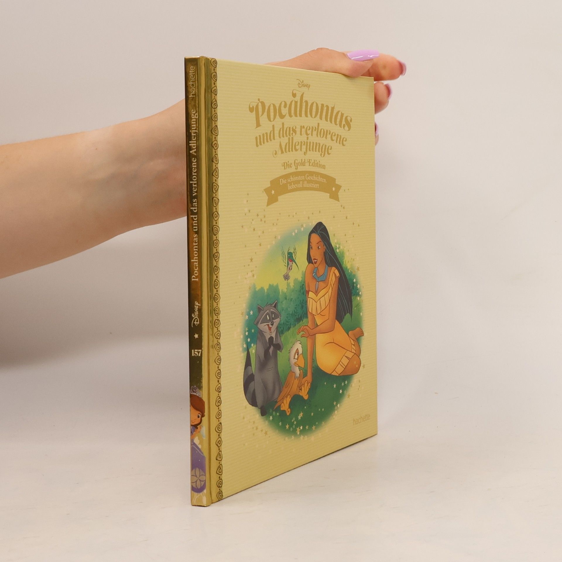 Autorenkollektiv Pocahontas und das verlorene Adlerjunge