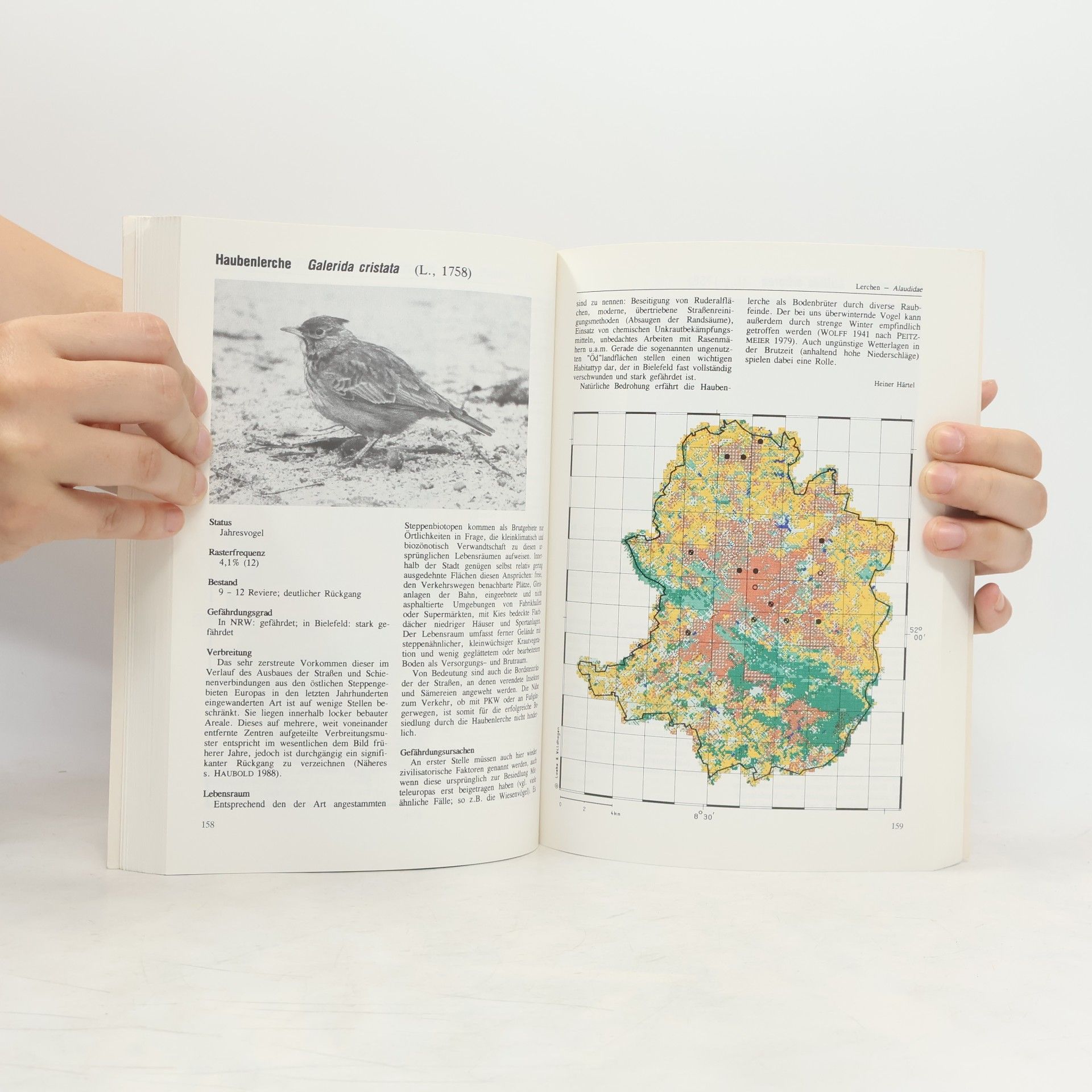 Volker Laske Ilex-Bücher Natur - 2: Die Vögel Bielefelds