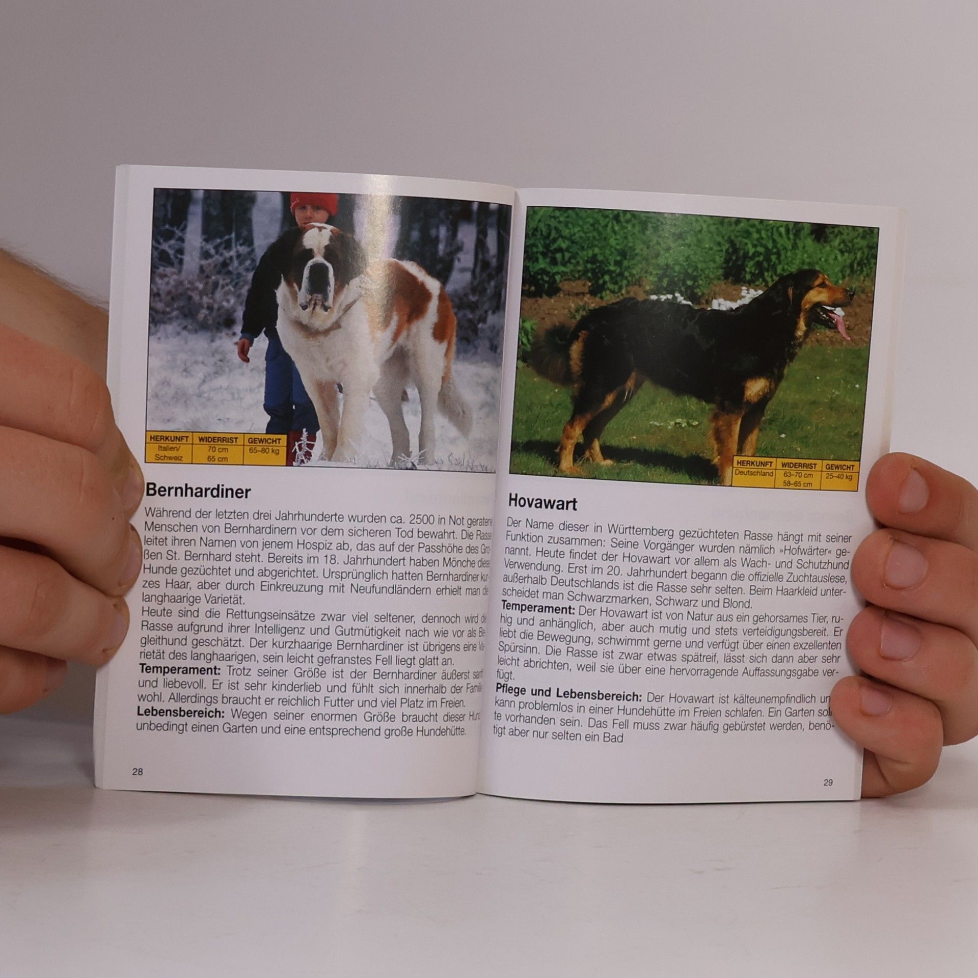 Various authors Mehr Freude mit... Hunde