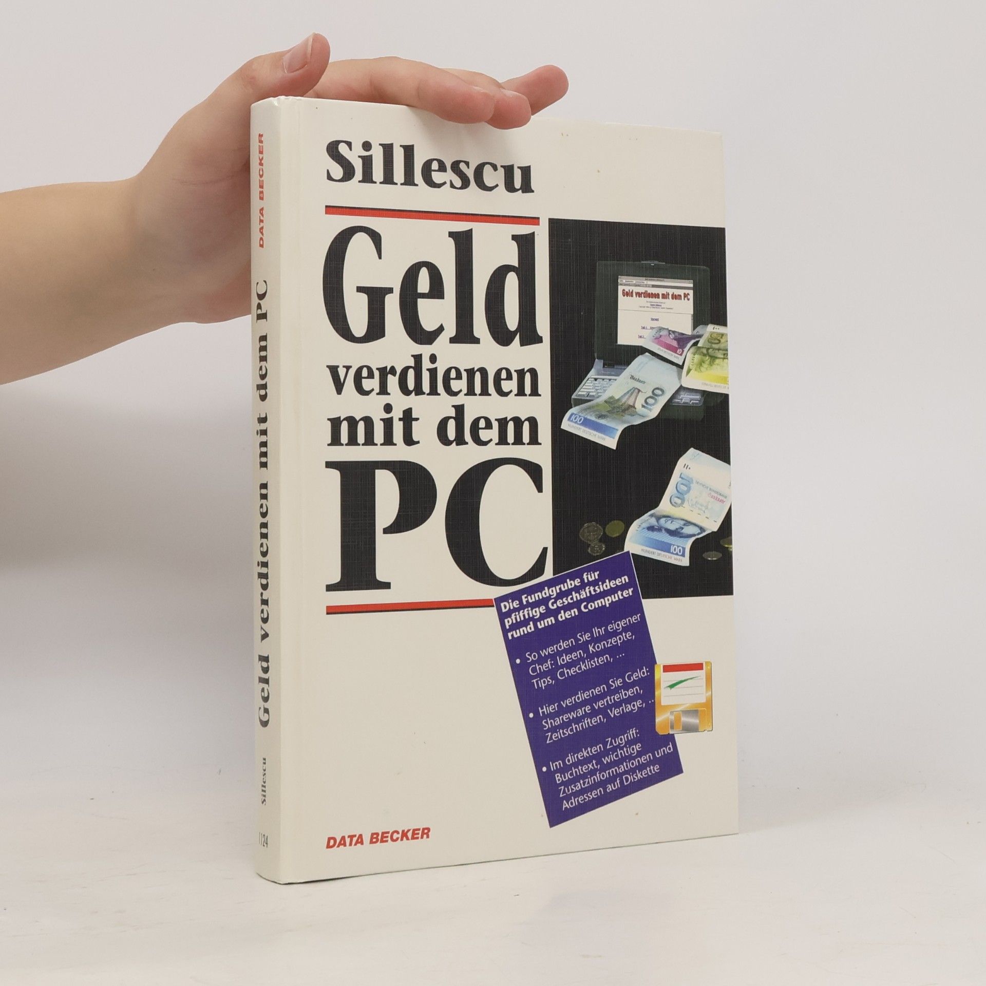 Sillescu Geld verdienen mit dem PC