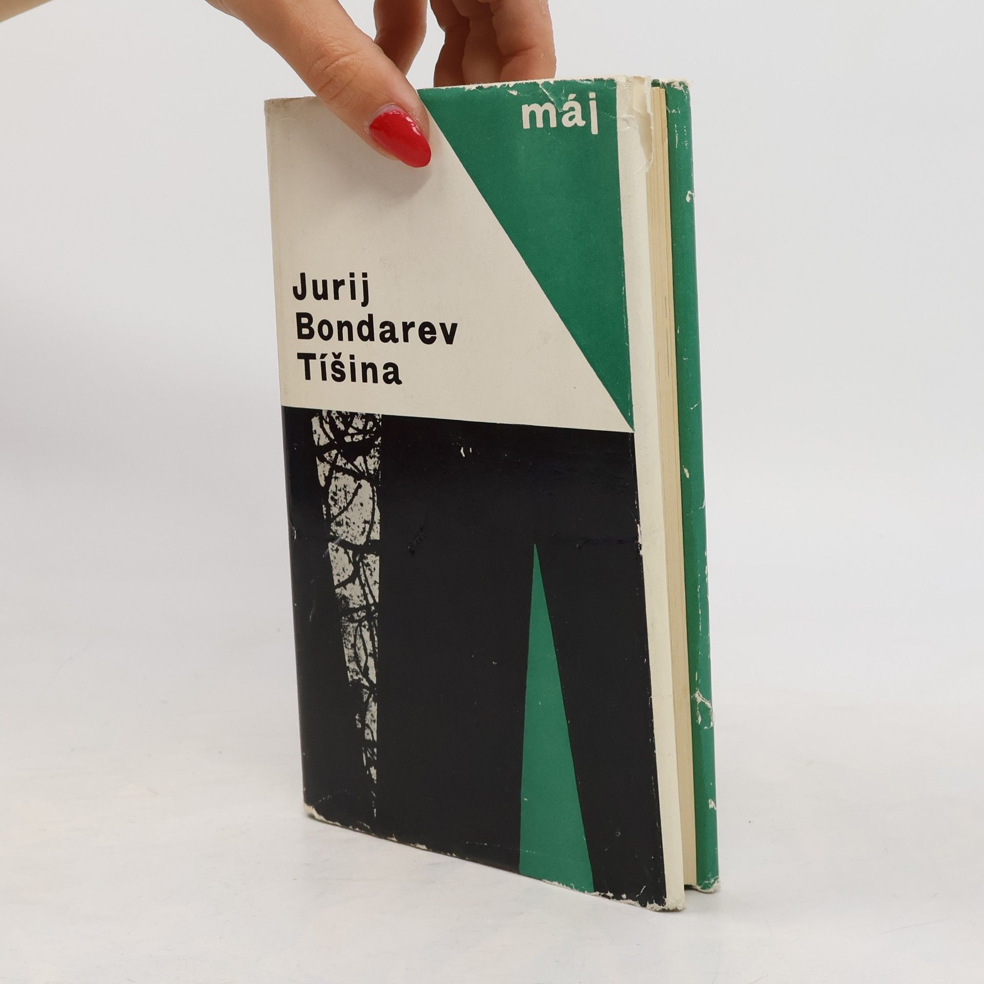 Juri Bondarew Tíšina