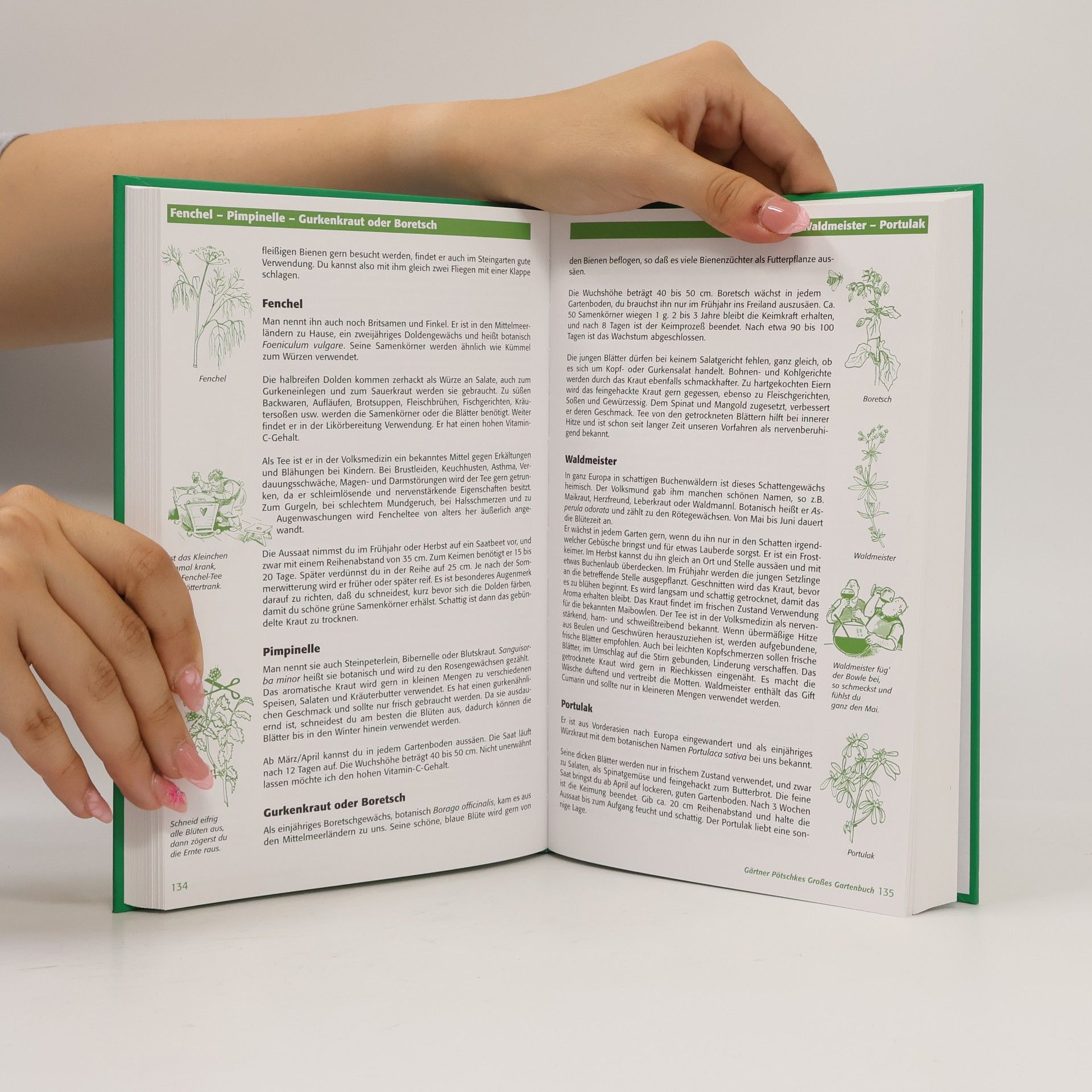 Harry Pötschkes Gärtner Pötschkes großes Gartenbuch