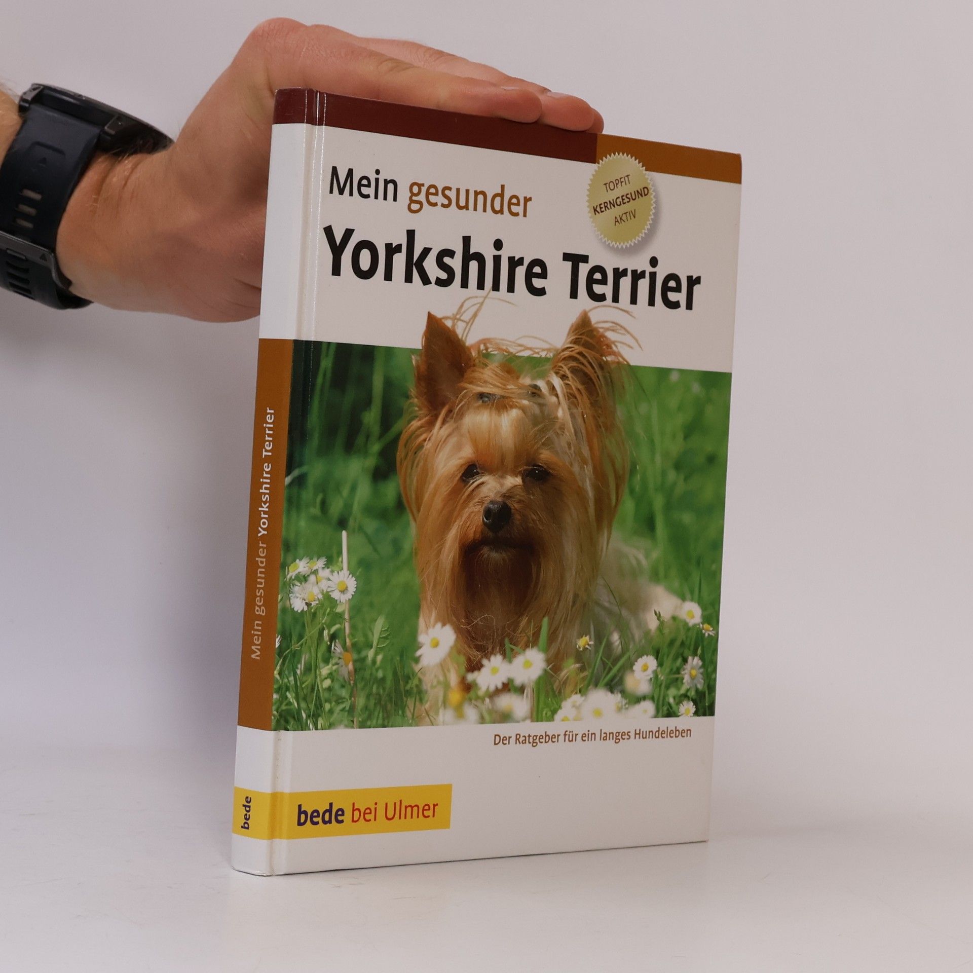 Lowell J. Ackerman Mein gesunder Yorkshire Terrier