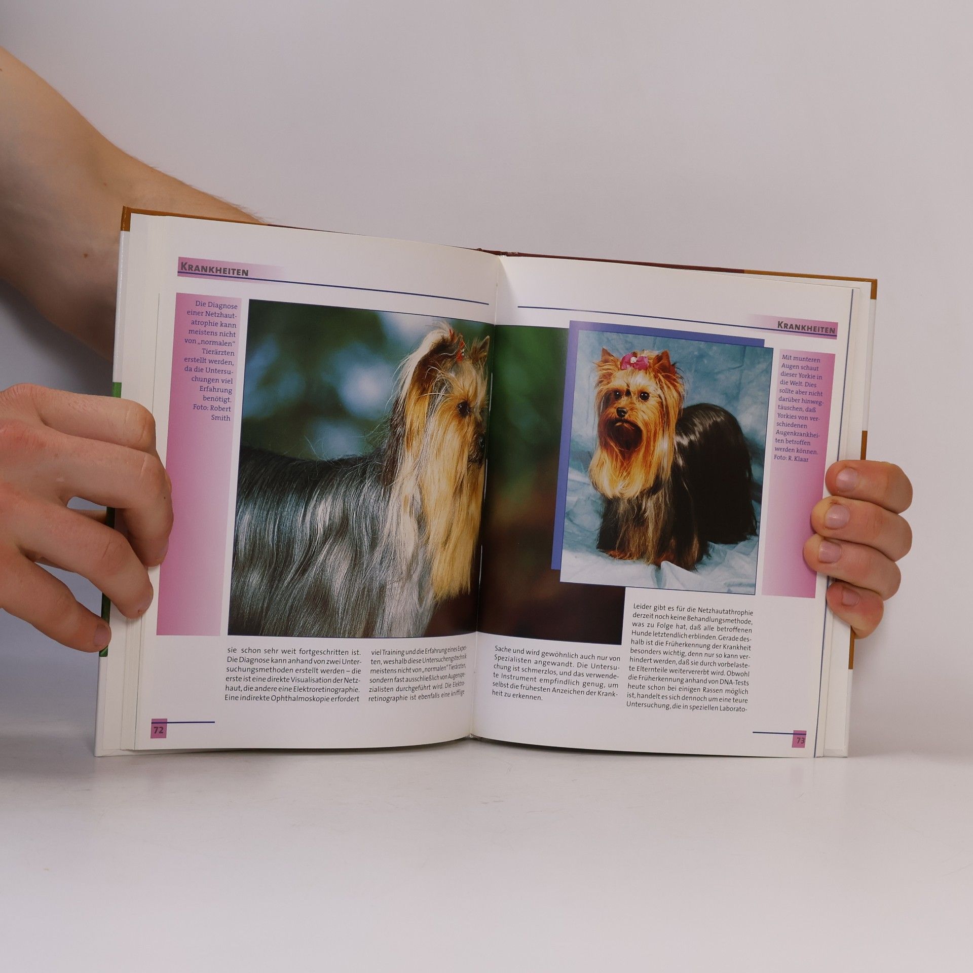 Lowell J. Ackerman Mein gesunder Yorkshire Terrier