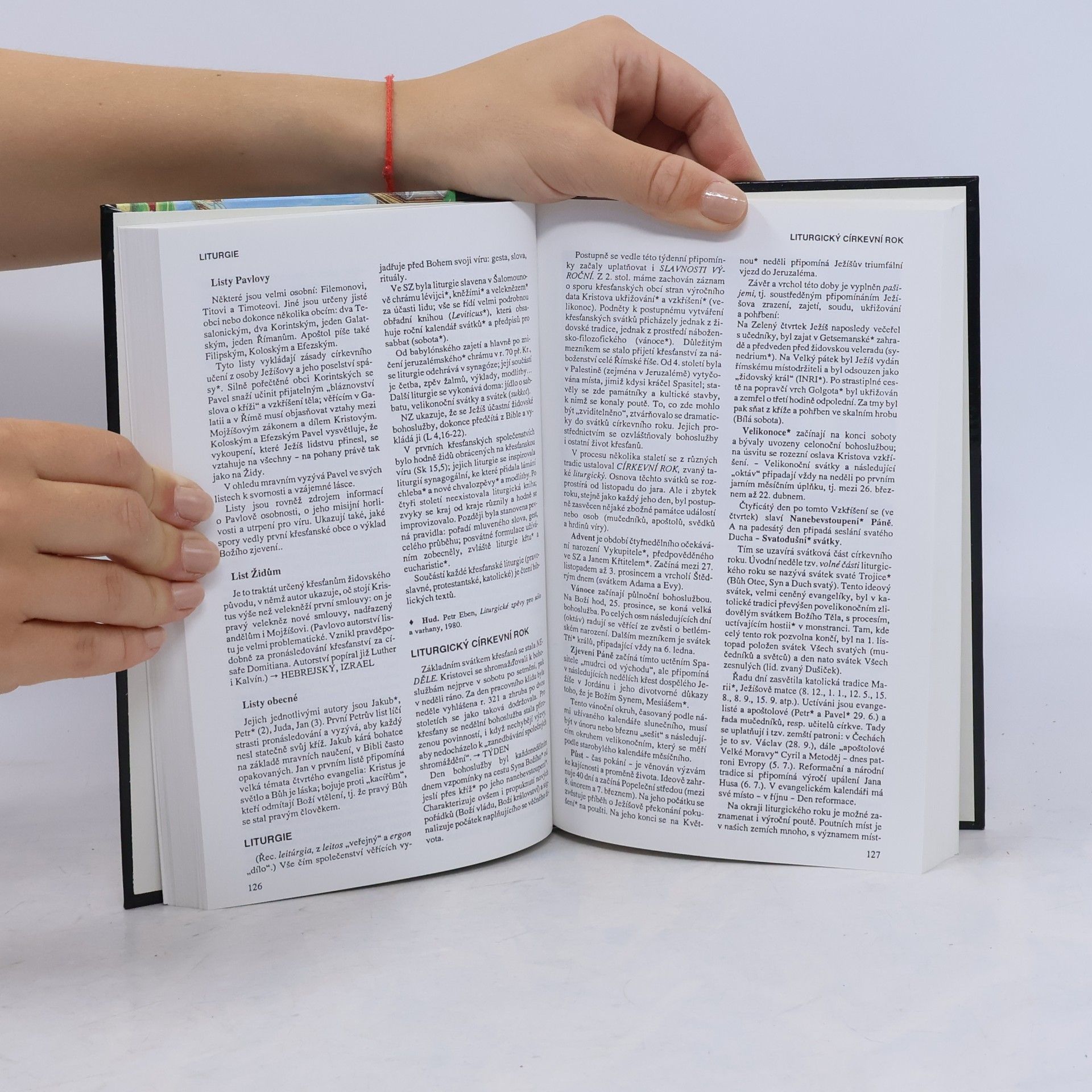 Auteurscollectief Slovník biblické kultury