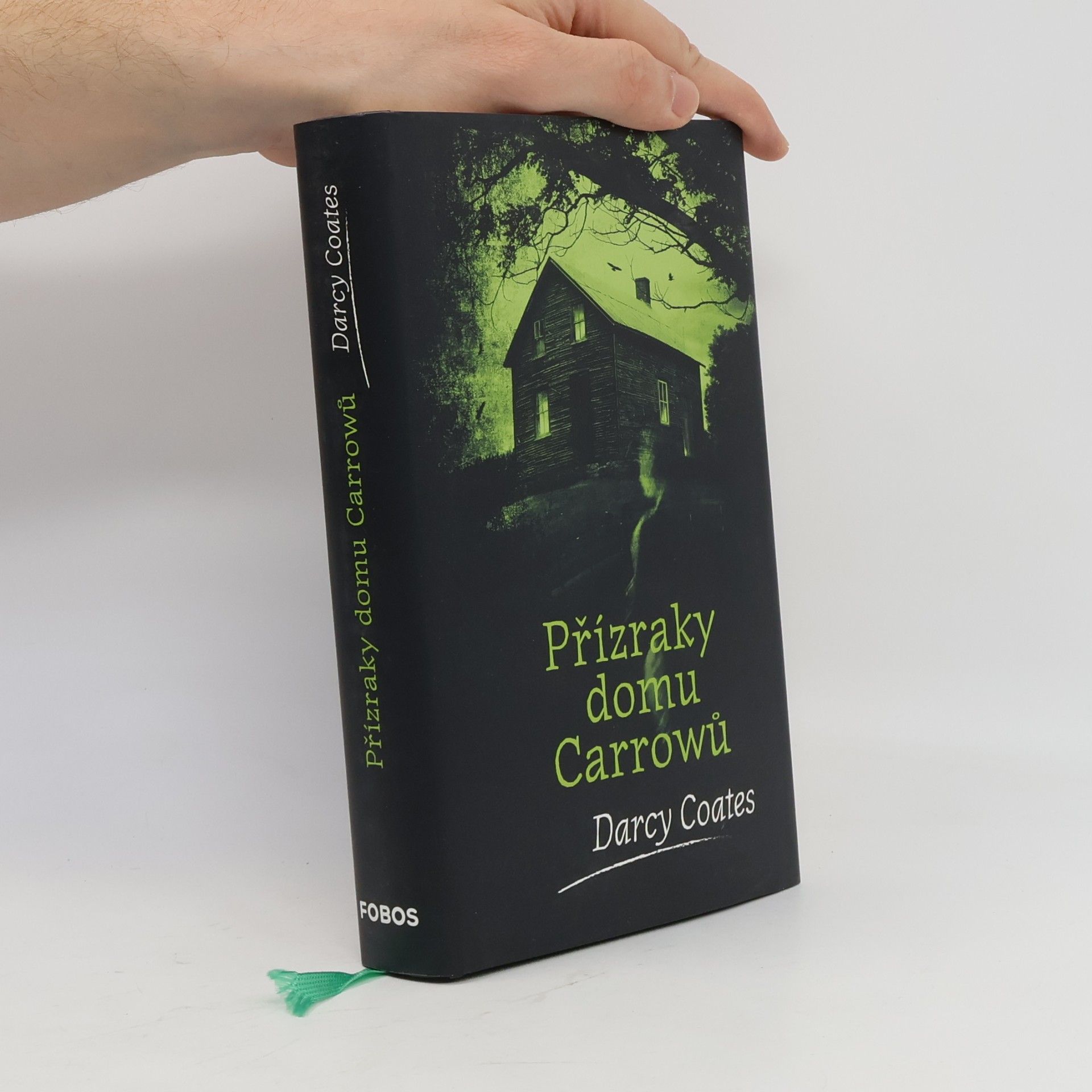 Darcy Coates Přízraky domu Carrowů