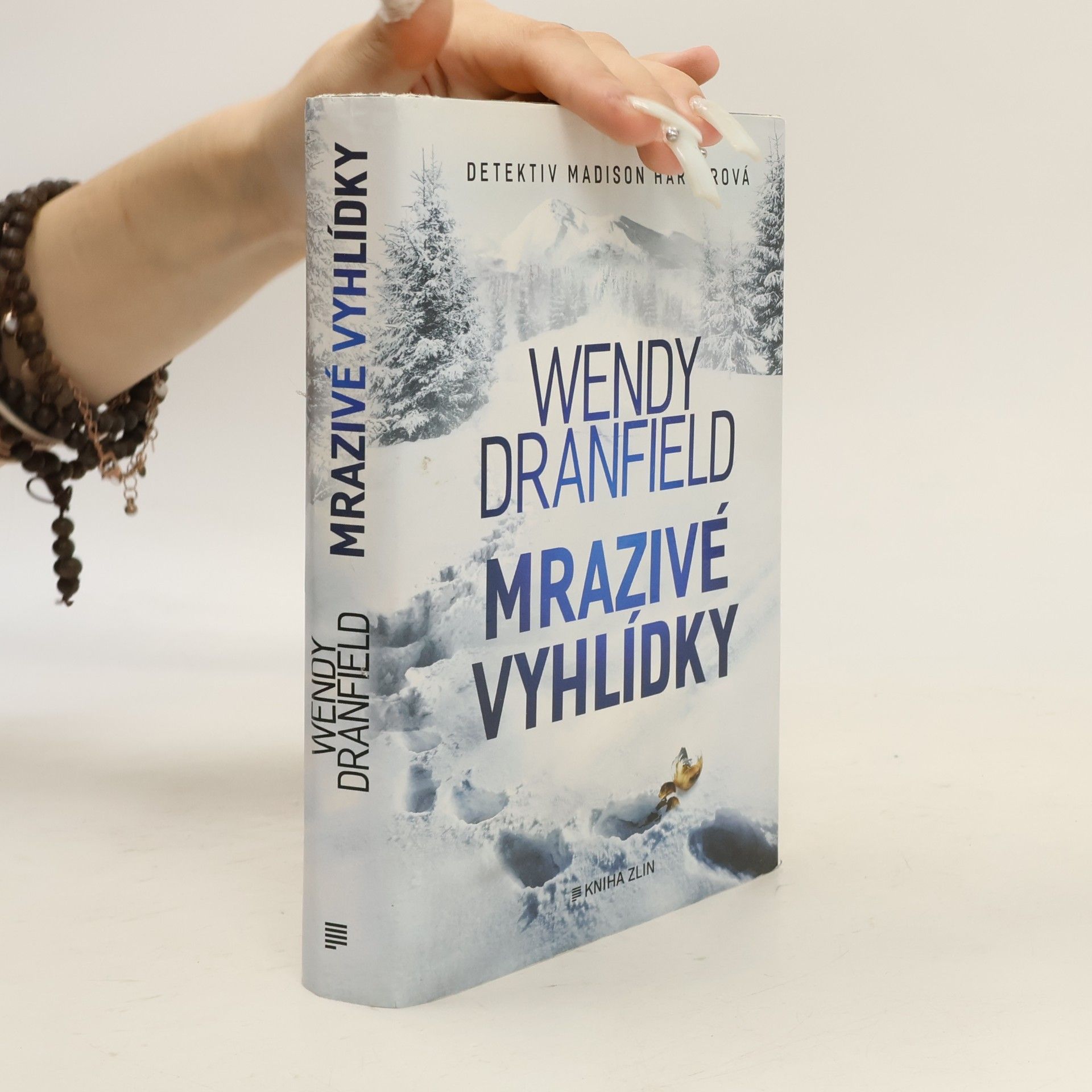 Wendy Dranfield Mrazivé vyhlídky