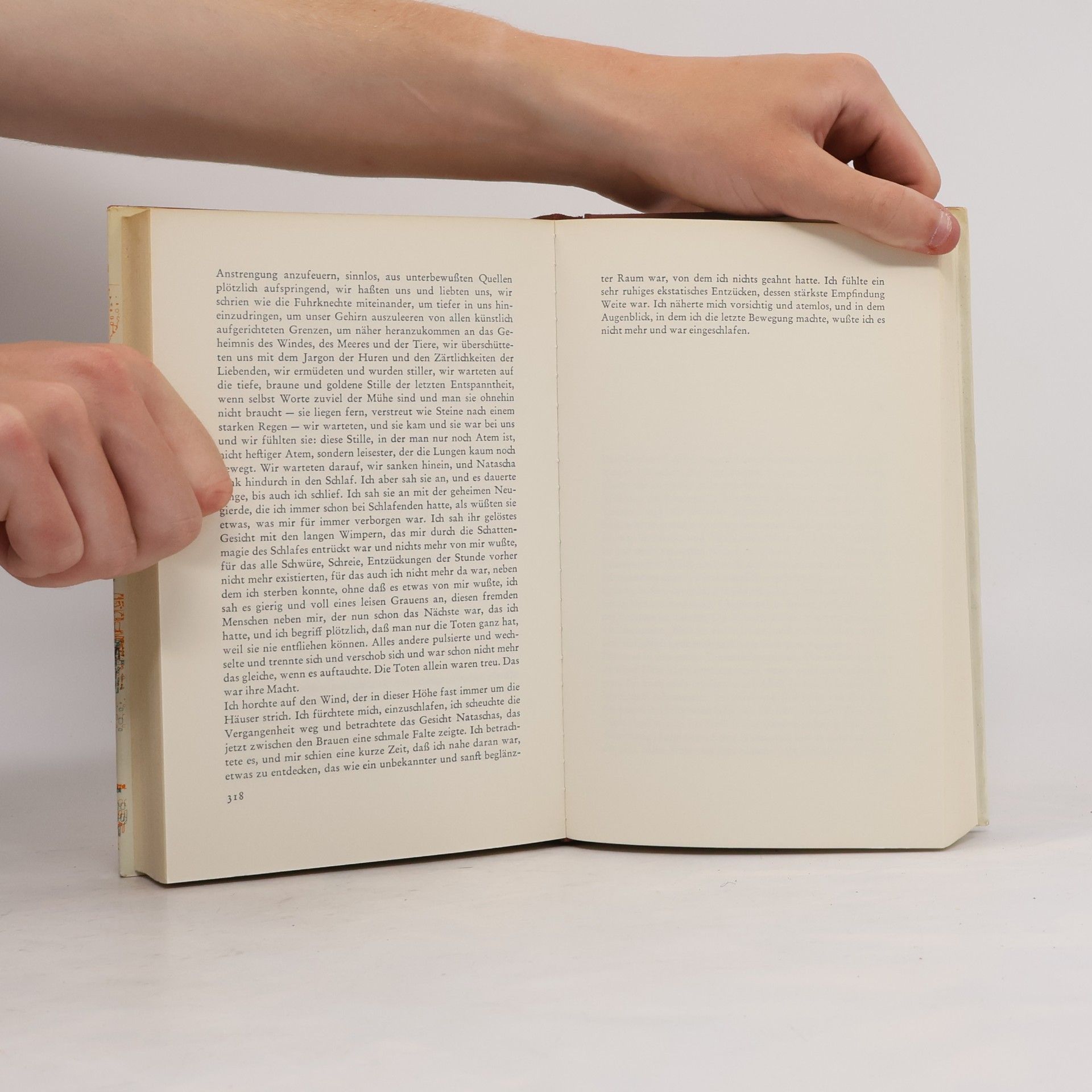 Erich Maria Remarque Schatten im Paradies