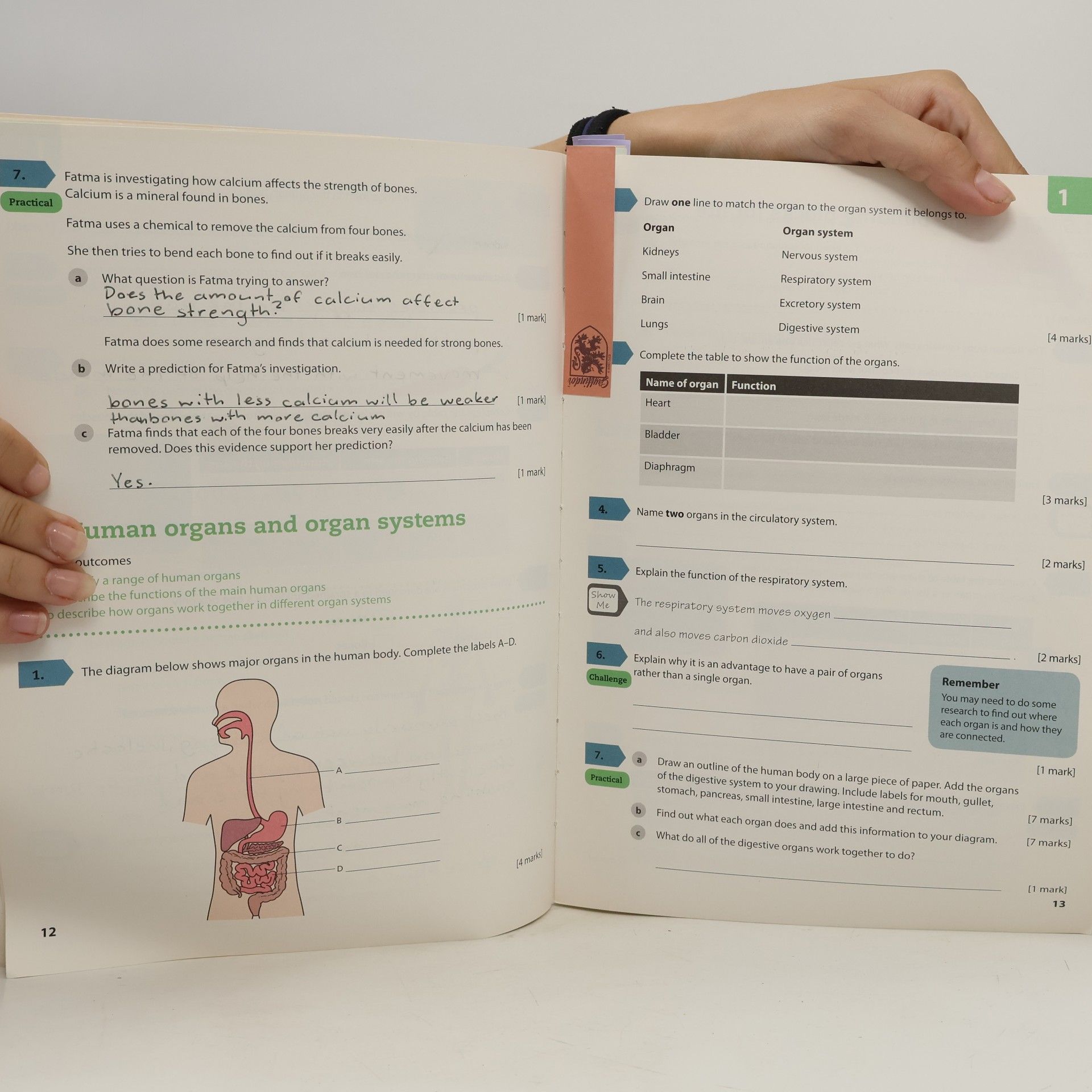Heidi Foxford Lower Secondary Science Workbook: Stage 7