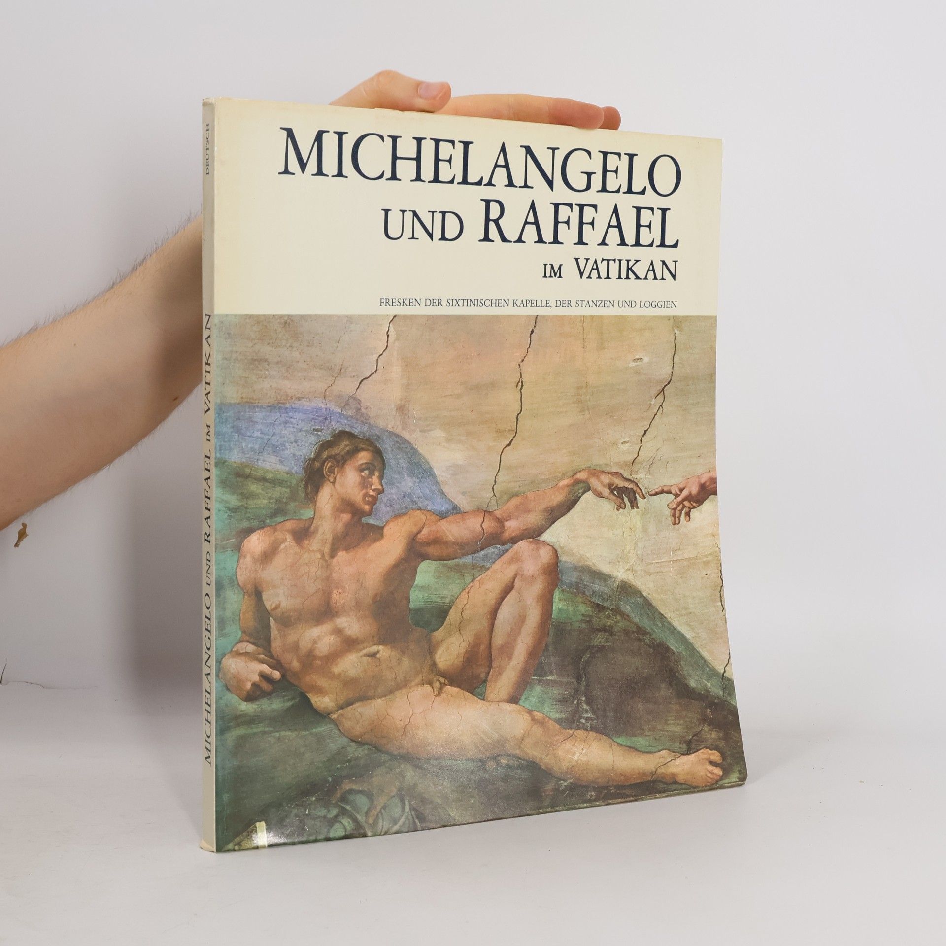 Antonio Paolucci Michelangelo und Raffael Im Vatikan