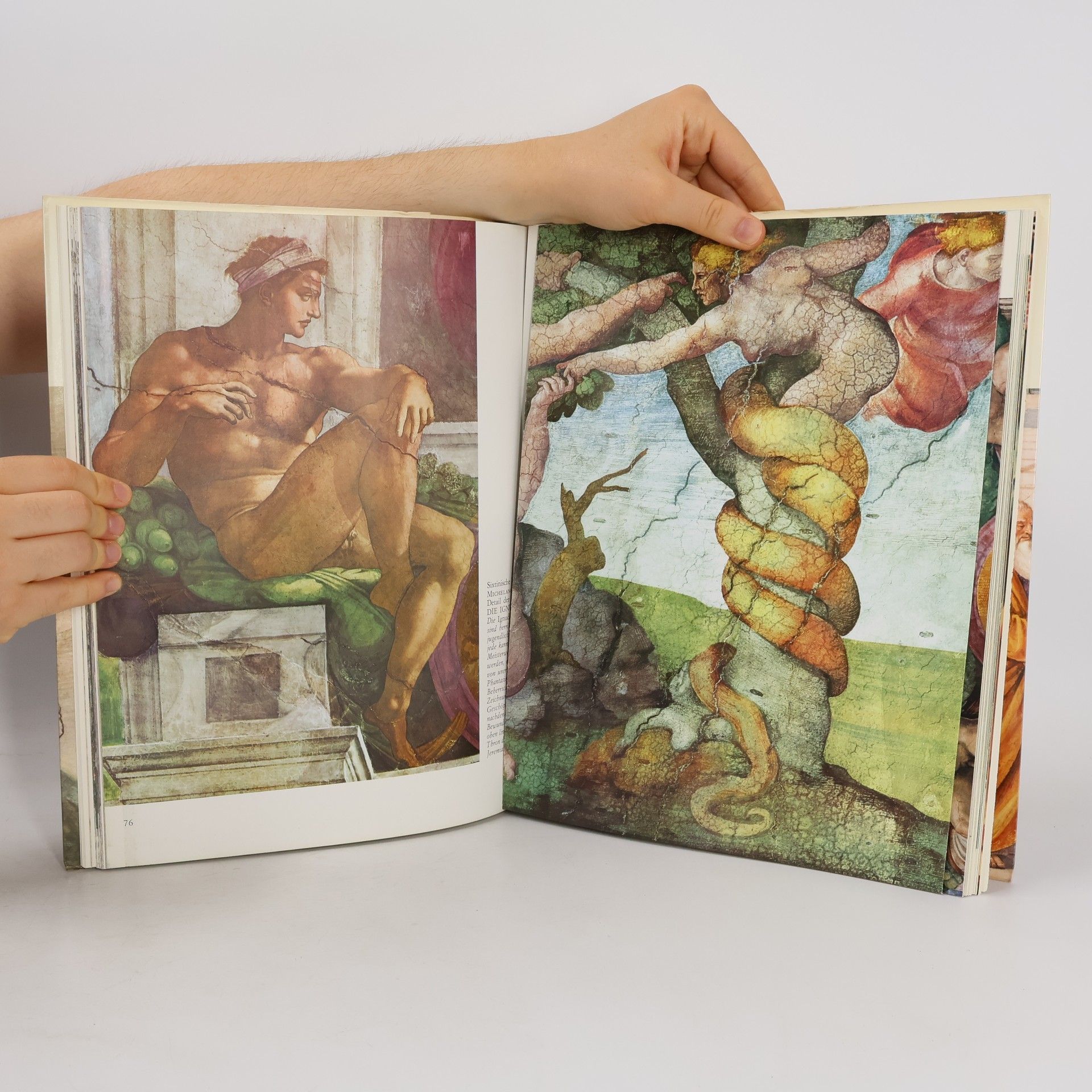 Autorenkollektiv Michelangelo und Raffael Im Vatikan