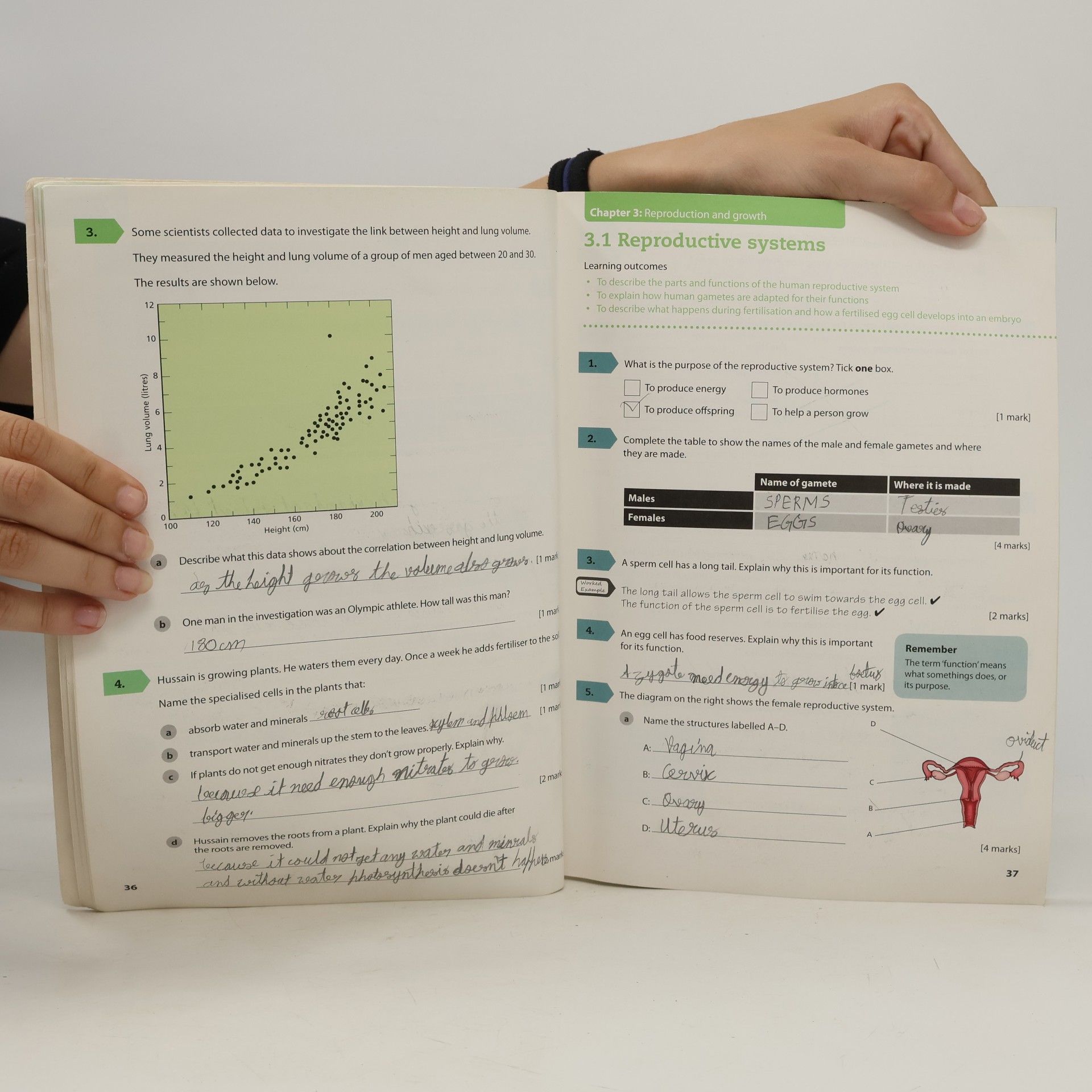 Kolektiv autorů Cambridge lower secondary Science. Stage 8. Workbook