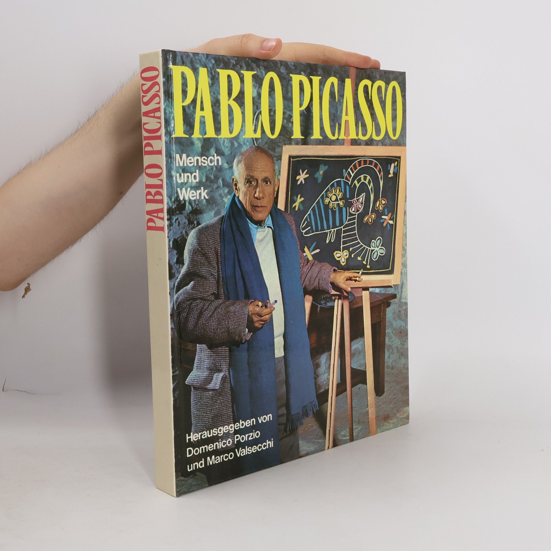 Domenico Porzio Pablo Picasso: Mensch und Werk