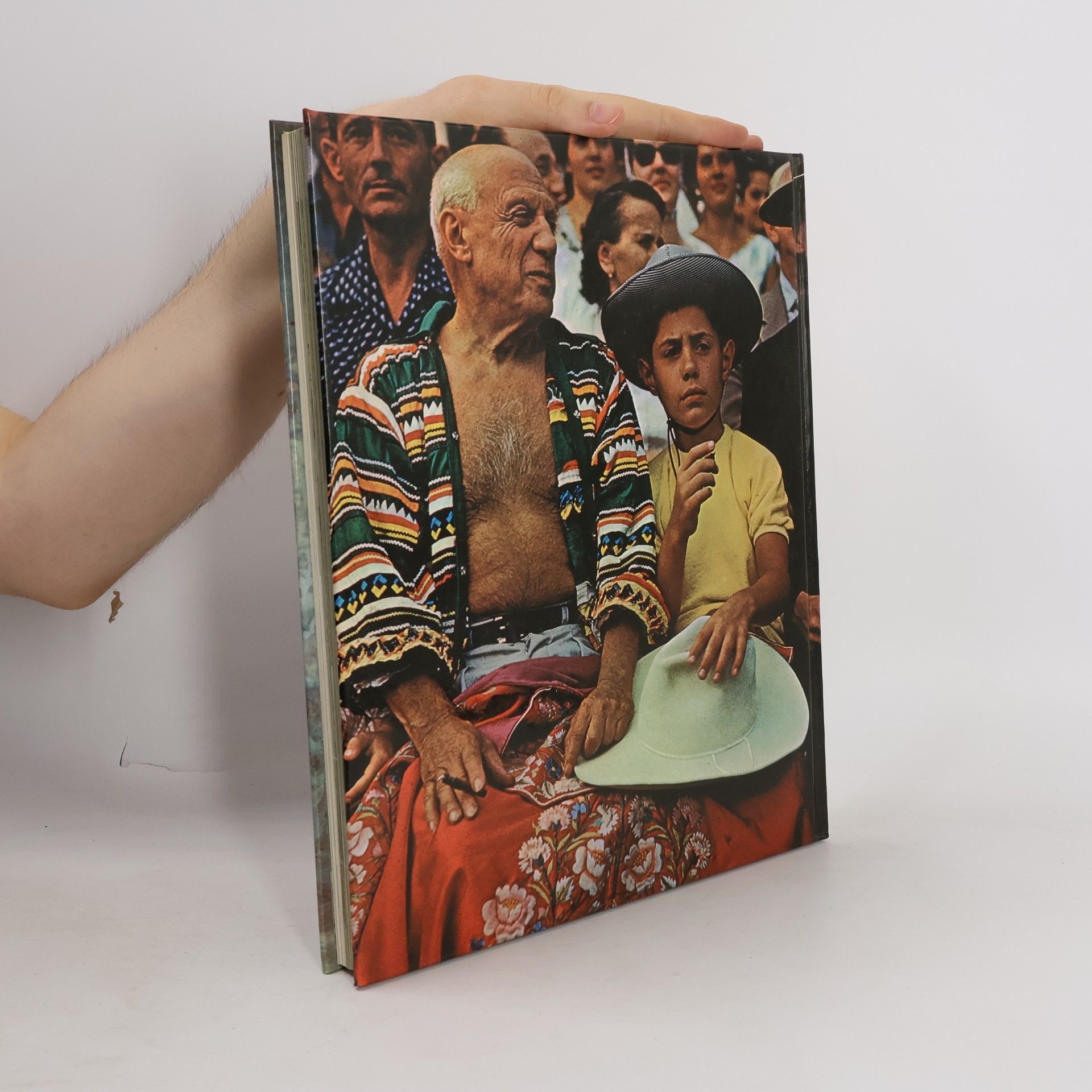Domenico Porzio Pablo Picasso: Mensch und Werk