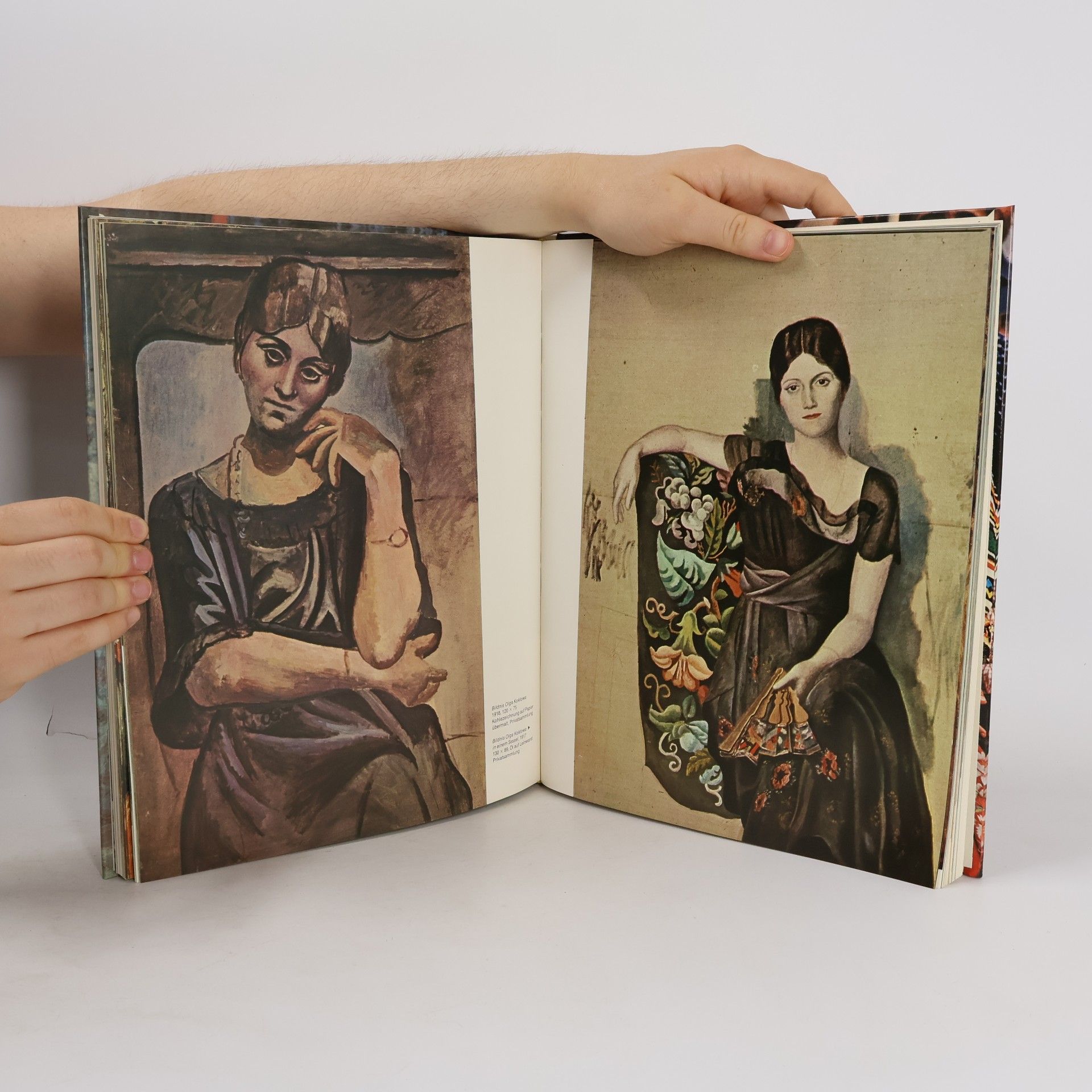 Domenico Porzio Pablo Picasso: Mensch und Werk