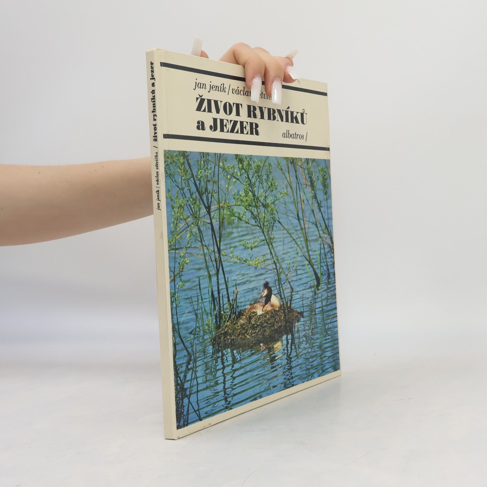 Život rybníků a jezer