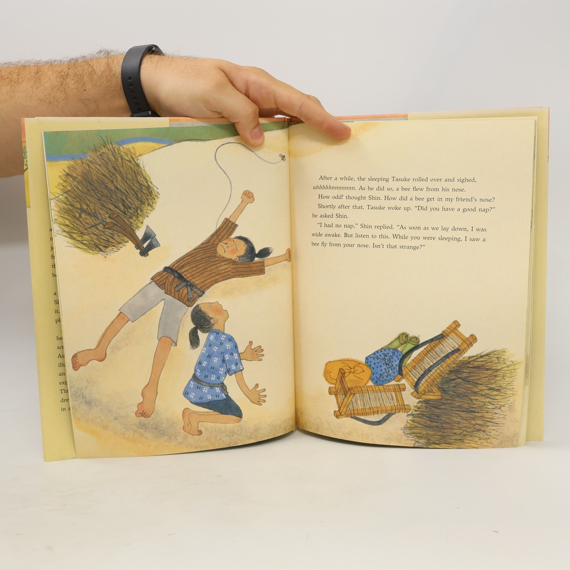Jan Freeman Long The Bee and the Dream