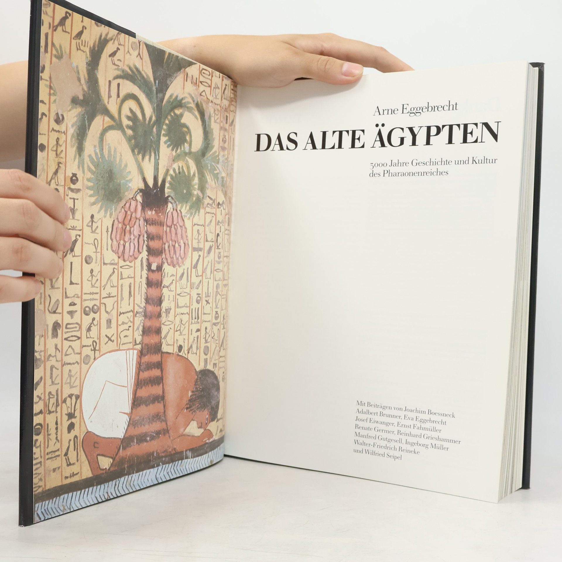 Arne Eggebrecht Das alte Ägypten