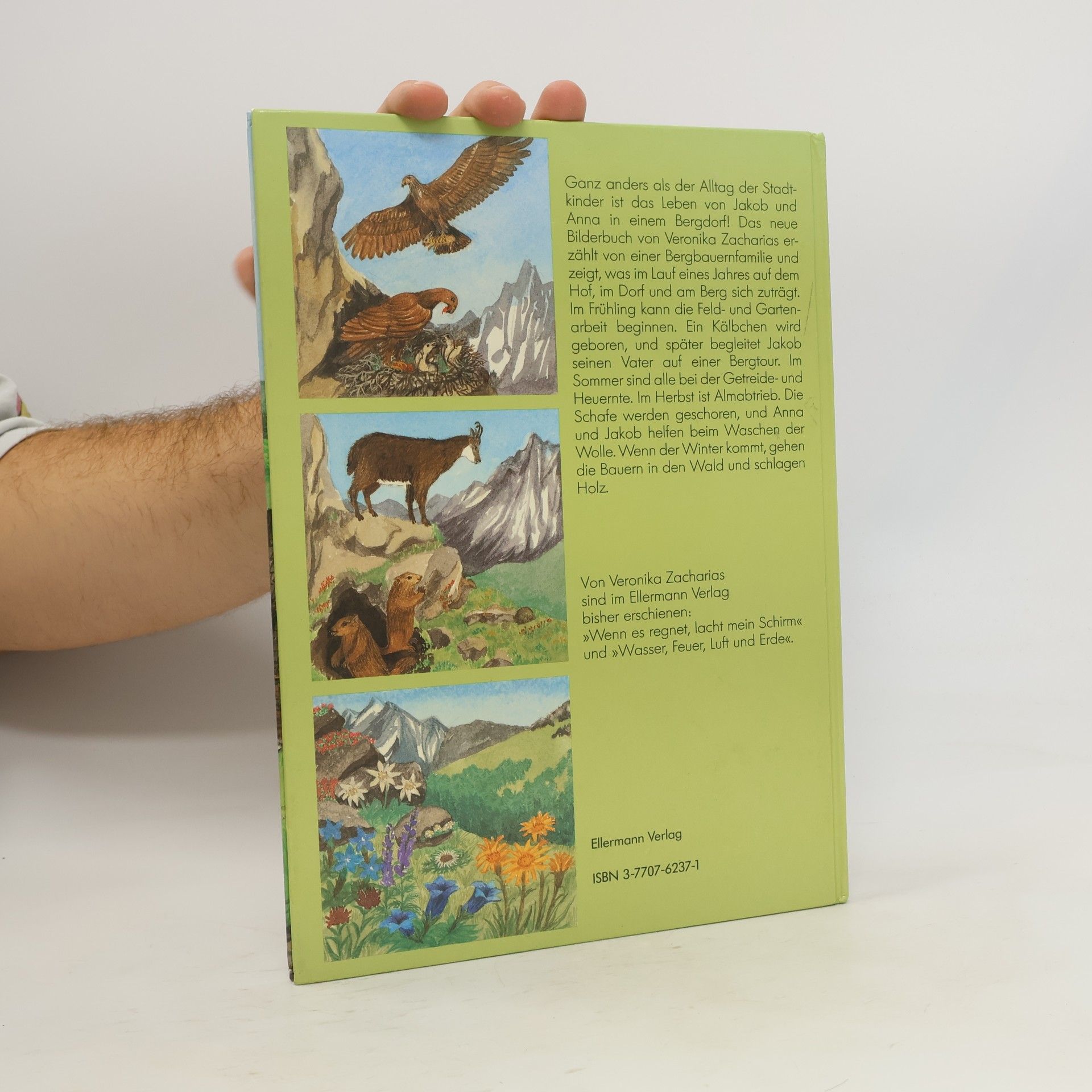 Veronika Zacharias Zwischen Berg und Tal: Ein Bilderbuch vom Bergbauernhof