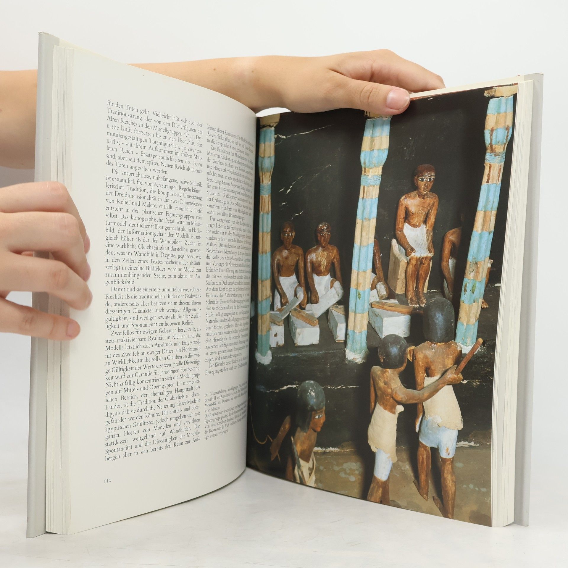 Dietrich Wildung Sesostris und Amenemhet