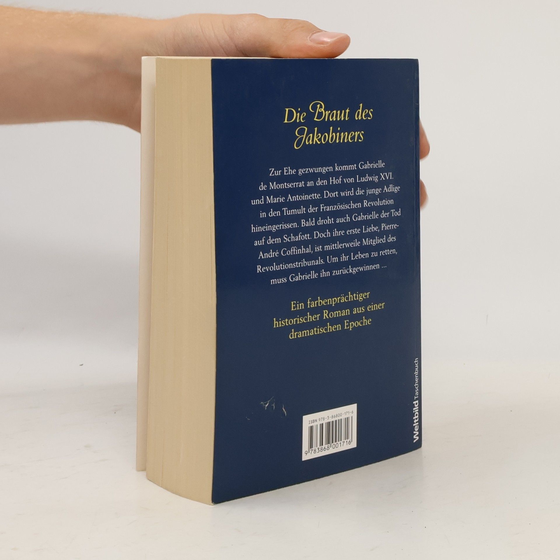 Catherine Delors Die Braut des Jakobiners