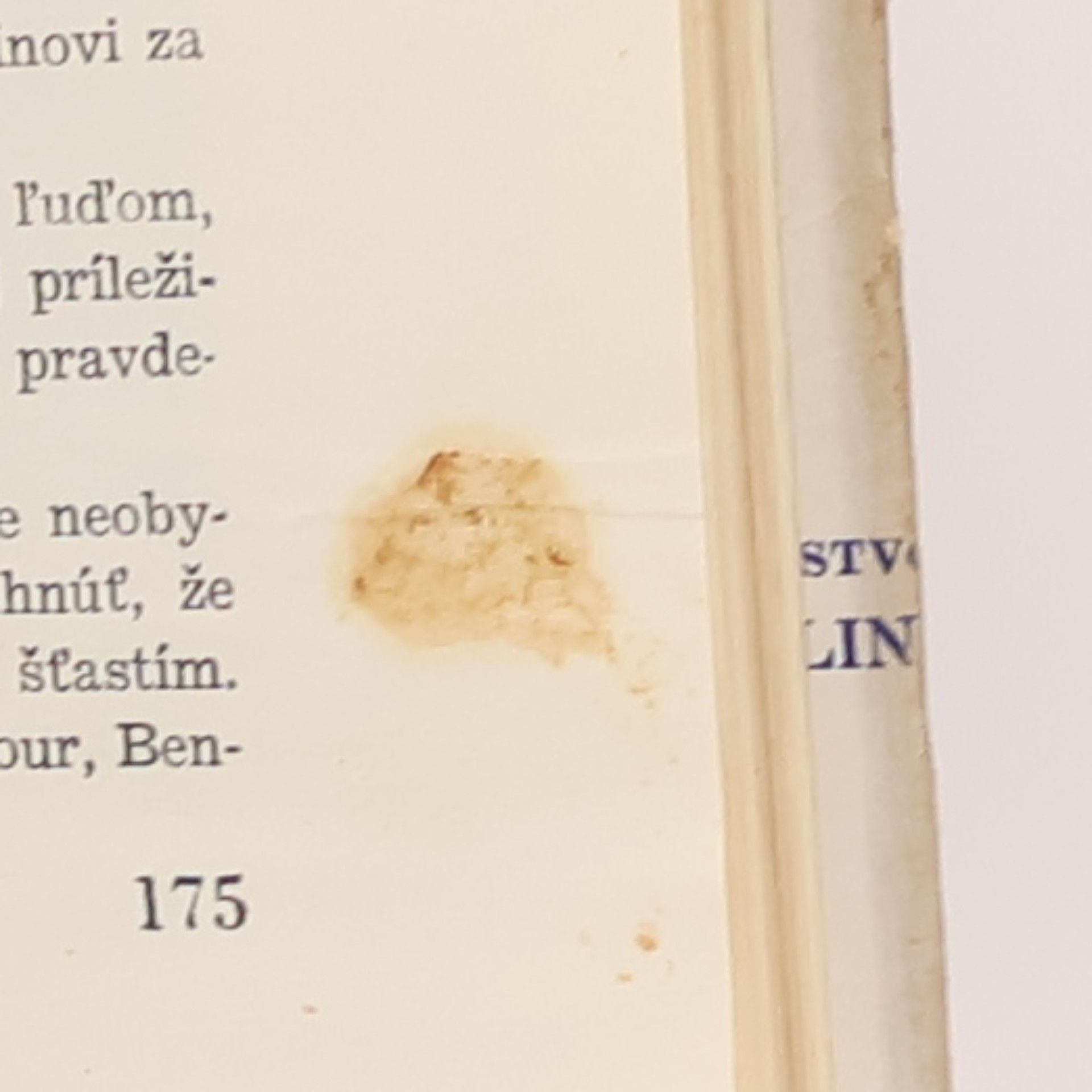 Hans Dominik Z kamelota milionárom