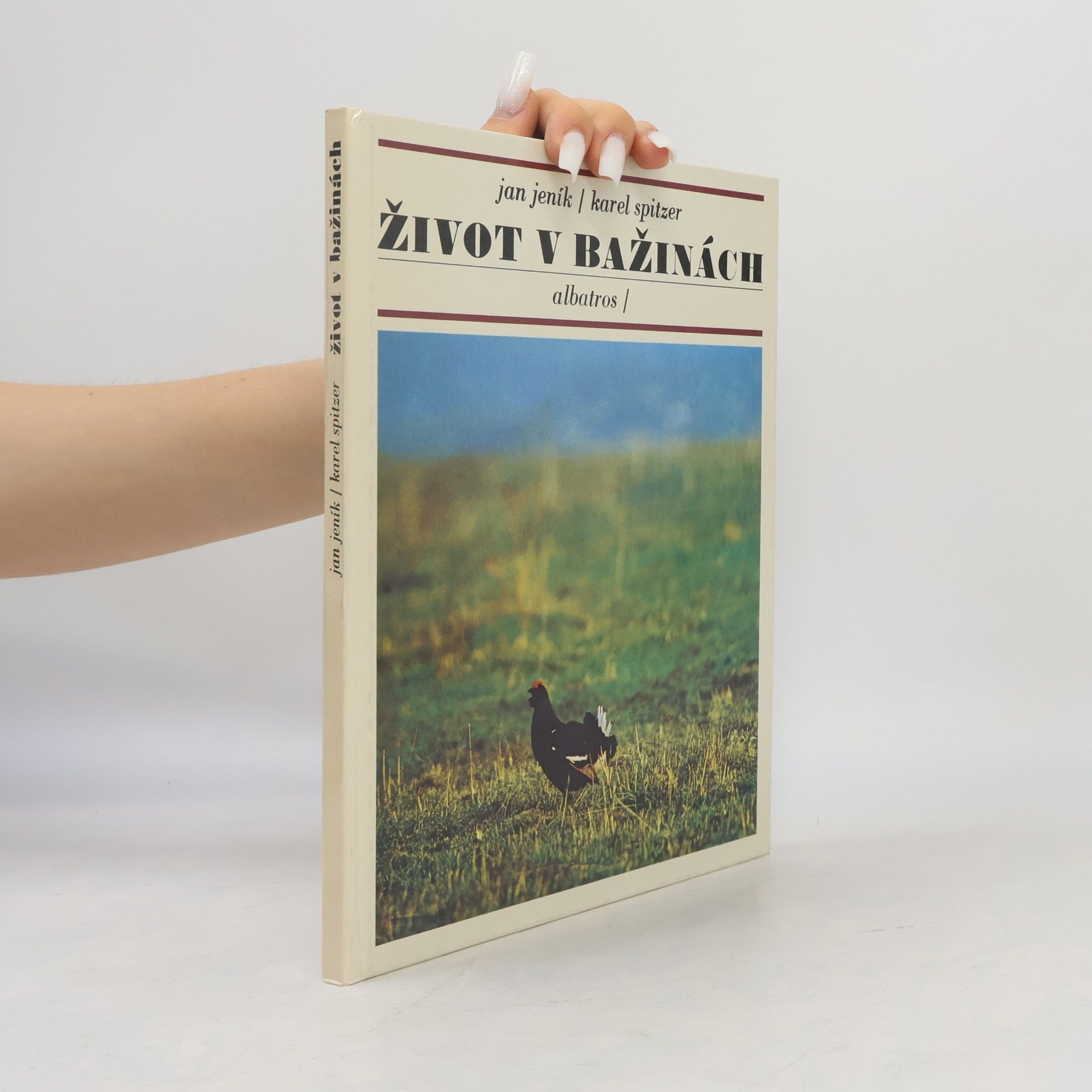 Jan Jeník Život v bažinách