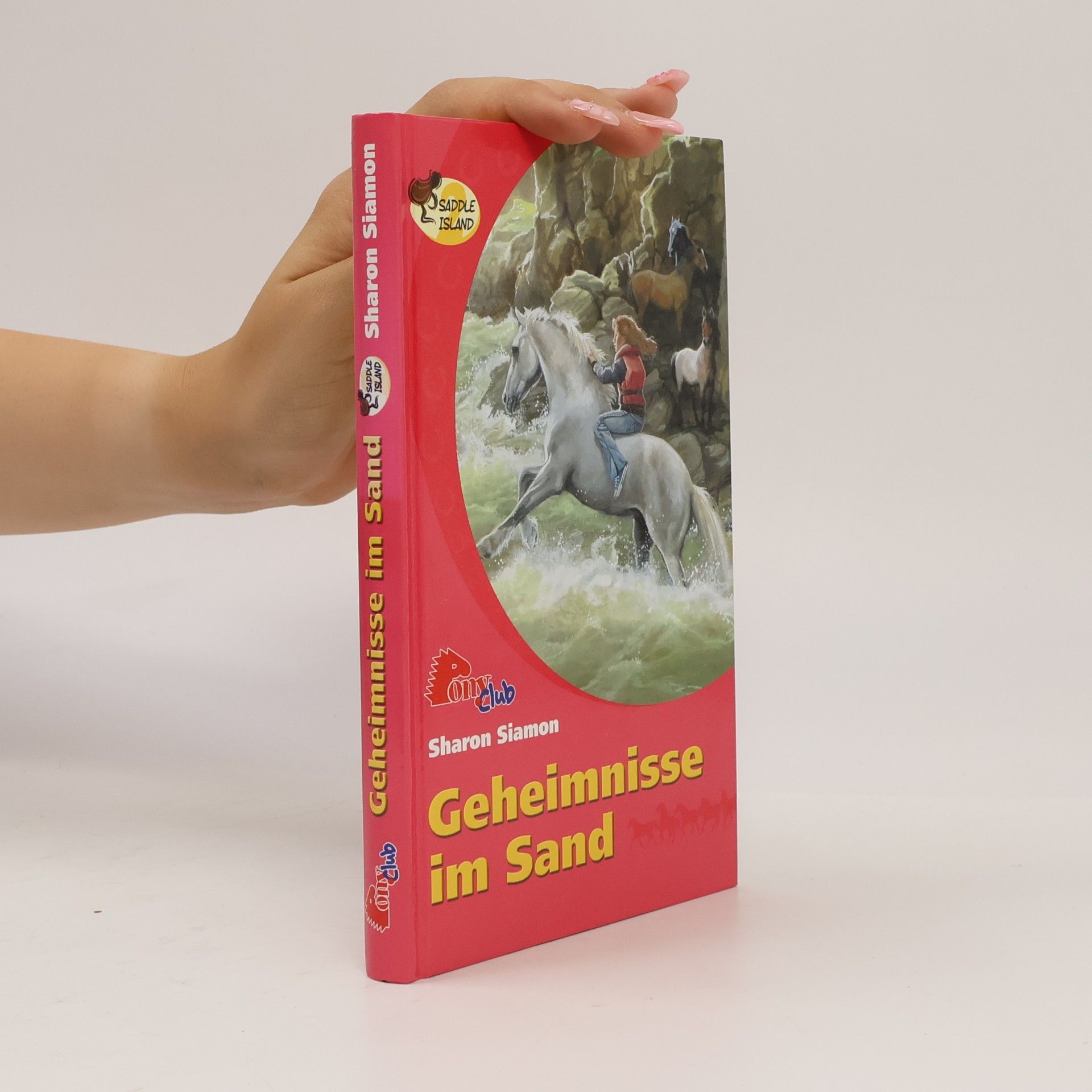 Sharon Siamon Geheimnisse im Sand