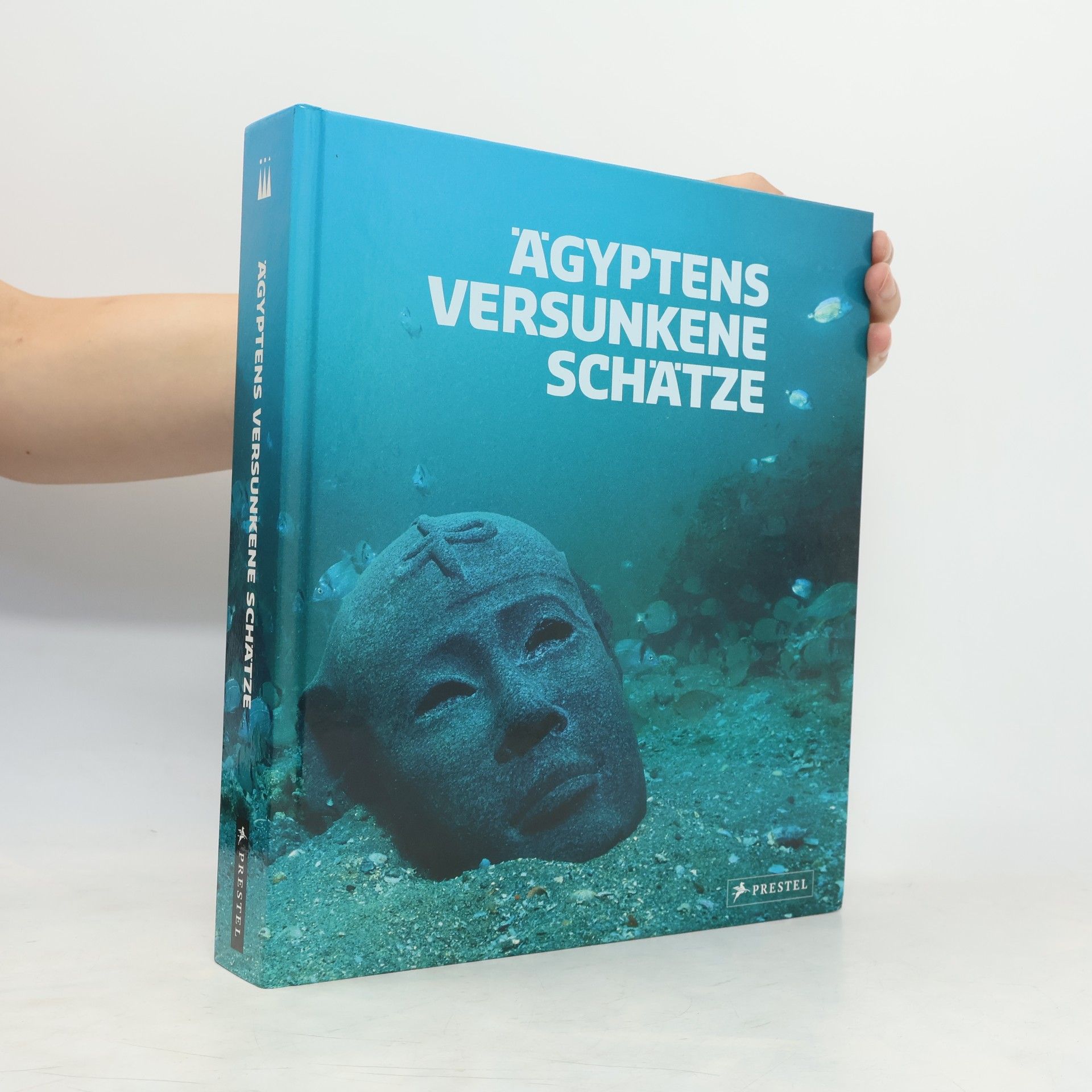 Franck Goddio Ägyptens versunkene Schätze