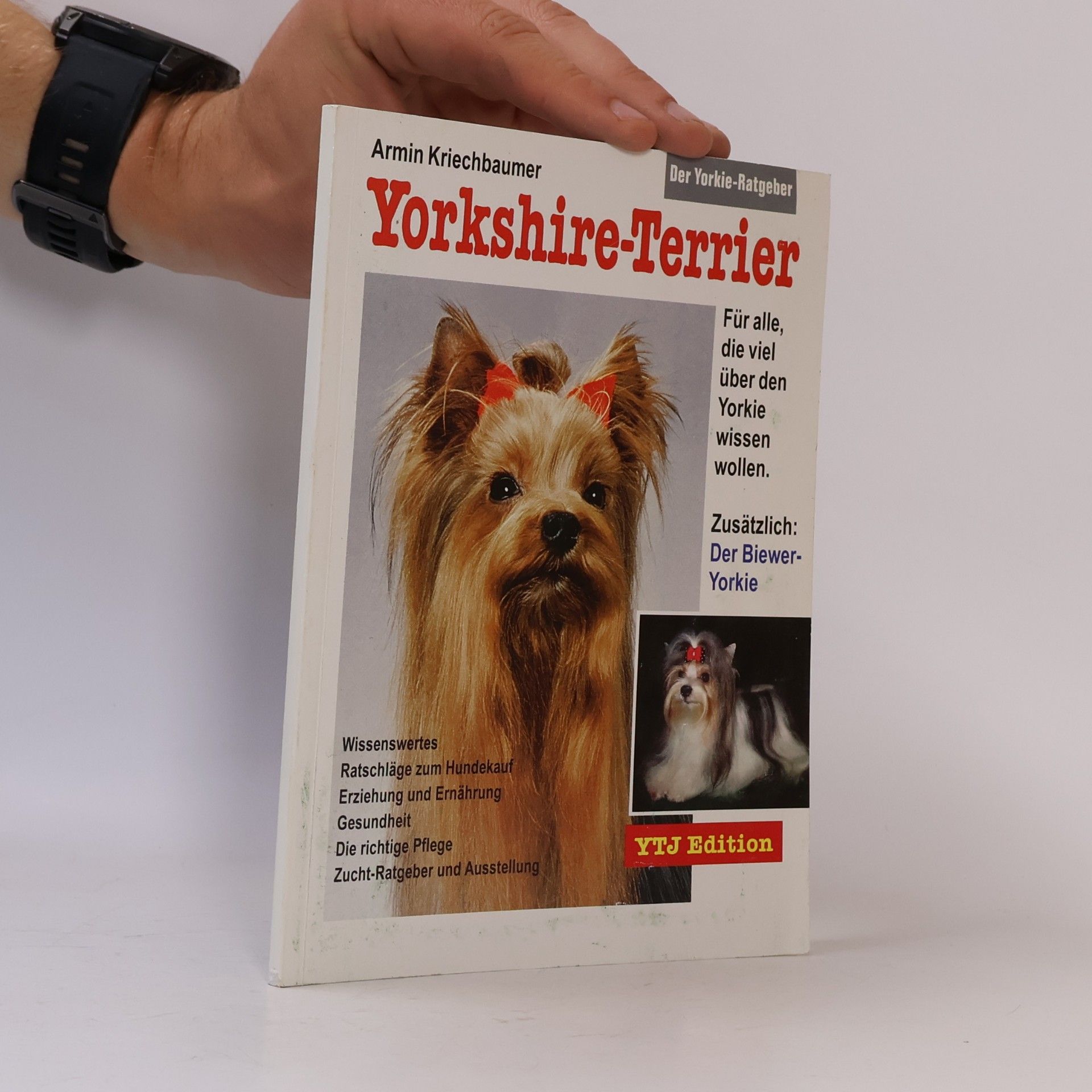 Armin Kriechbaumer Yorkshire-Terrier